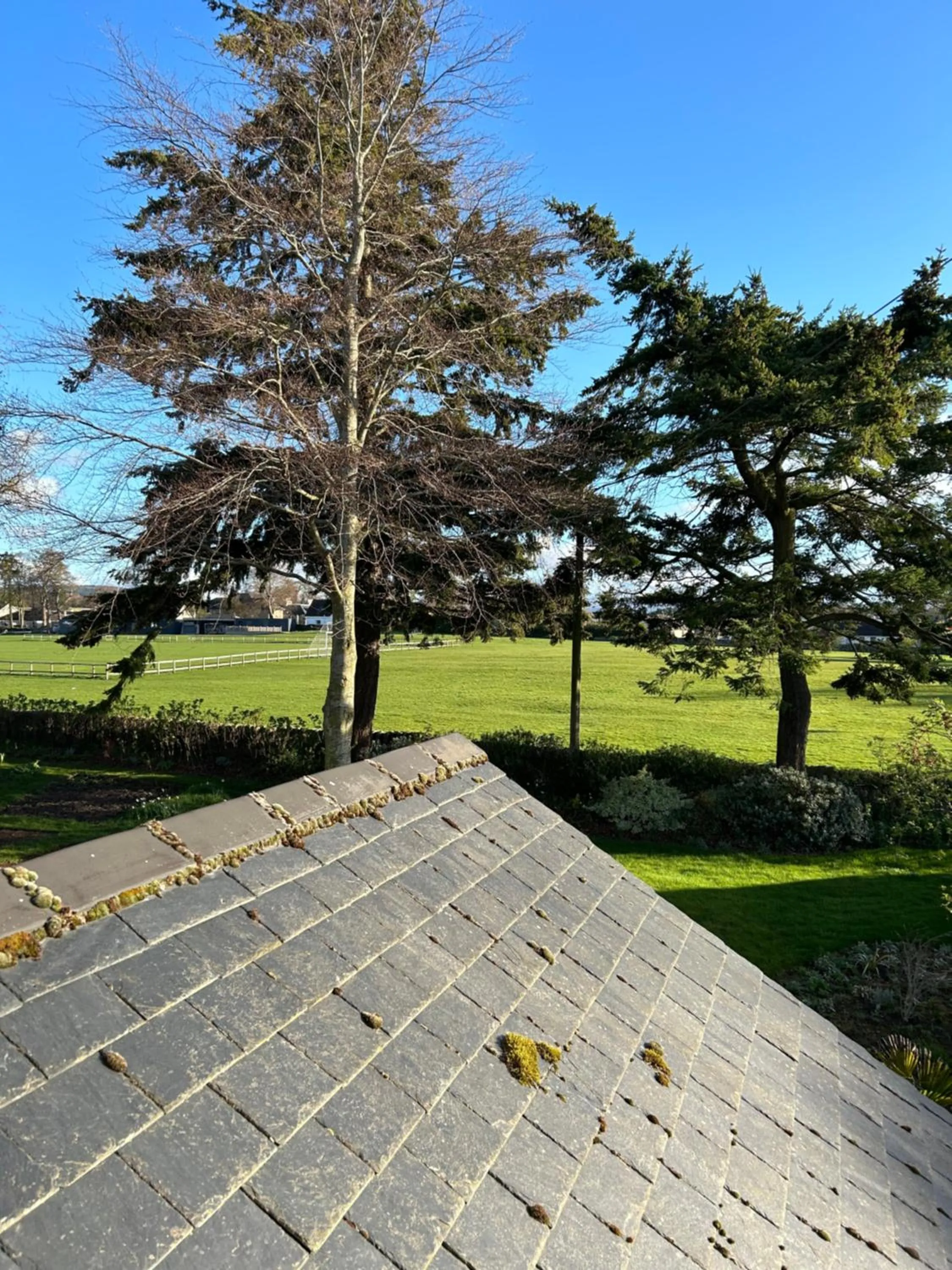 Garden view in Glen Lyon Lodge Bed and Breakfast