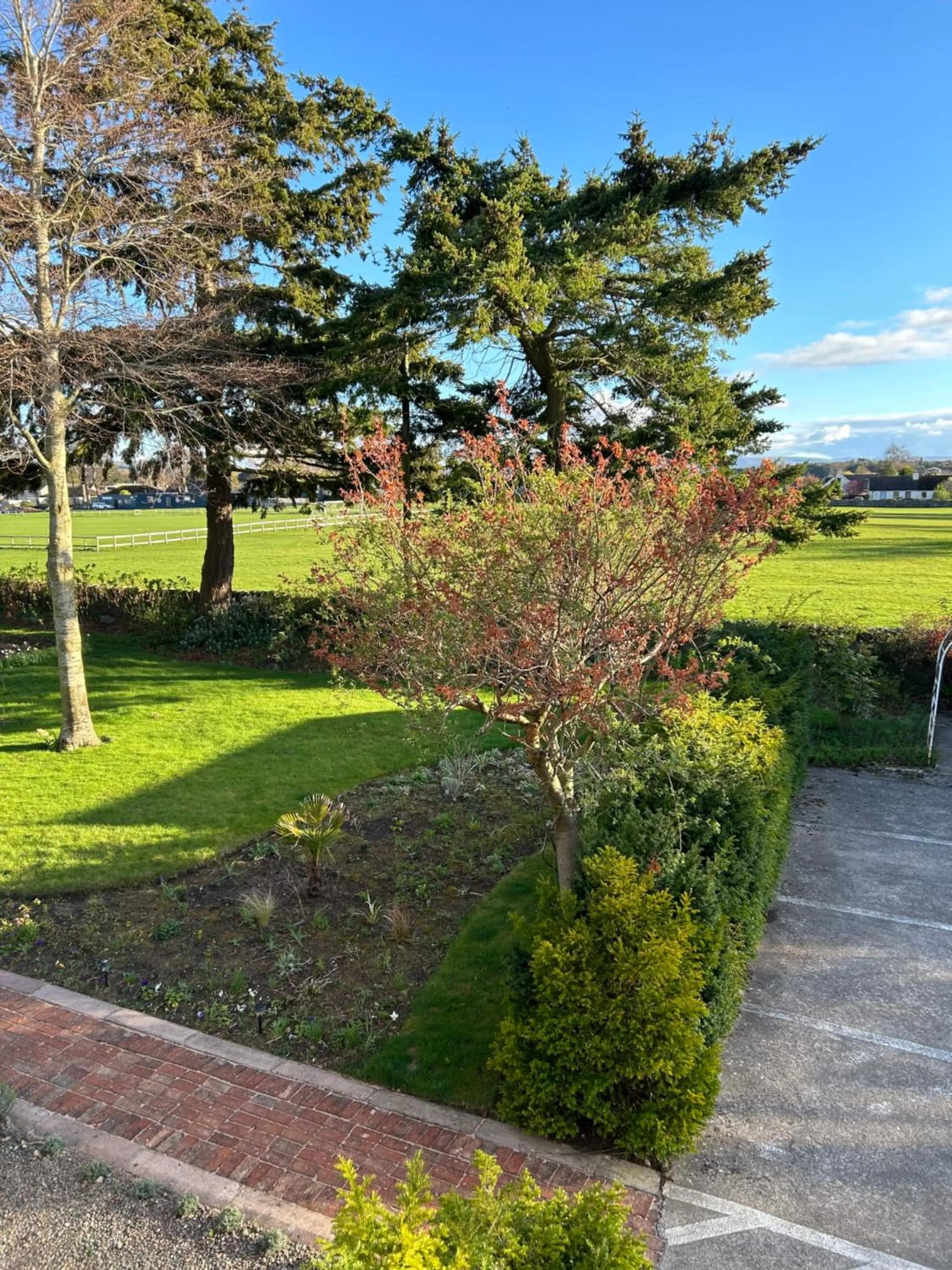 Garden view in Glen Lyon Lodge Bed and Breakfast