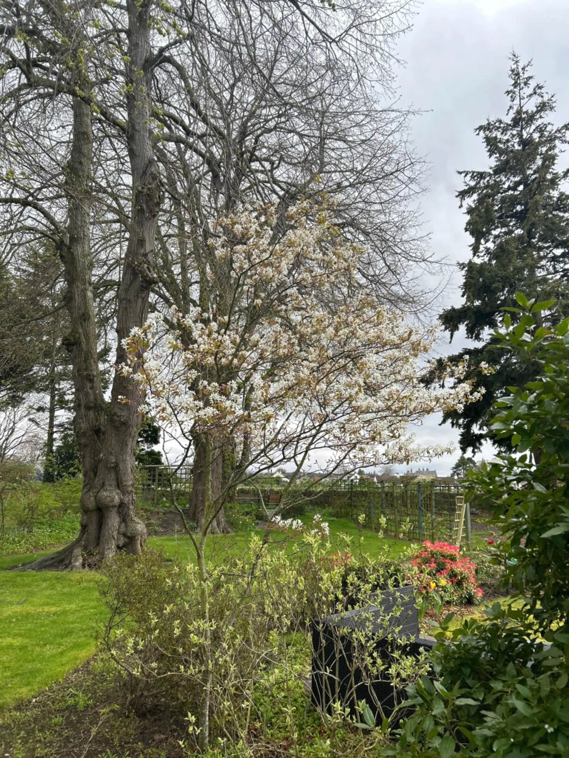 Garden view in Glen Lyon Lodge Bed and Breakfast