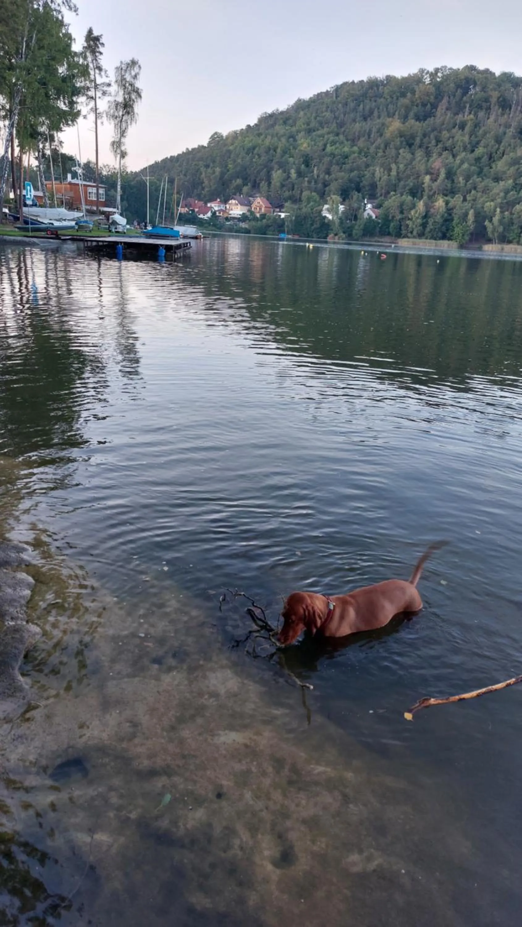 Pets in Apartmány FELSENBURG Staré Splavy