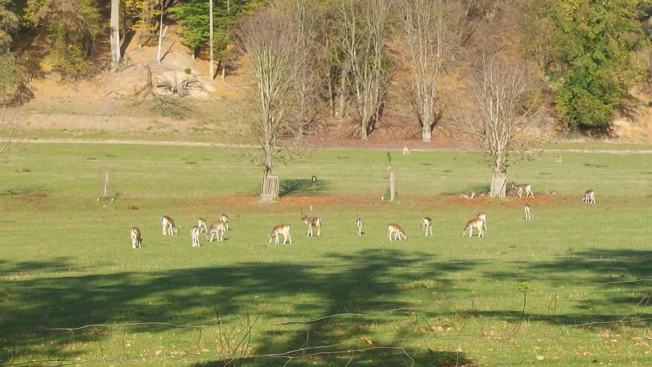 Nearby landmark in Apartmány FELSENBURG Staré Splavy