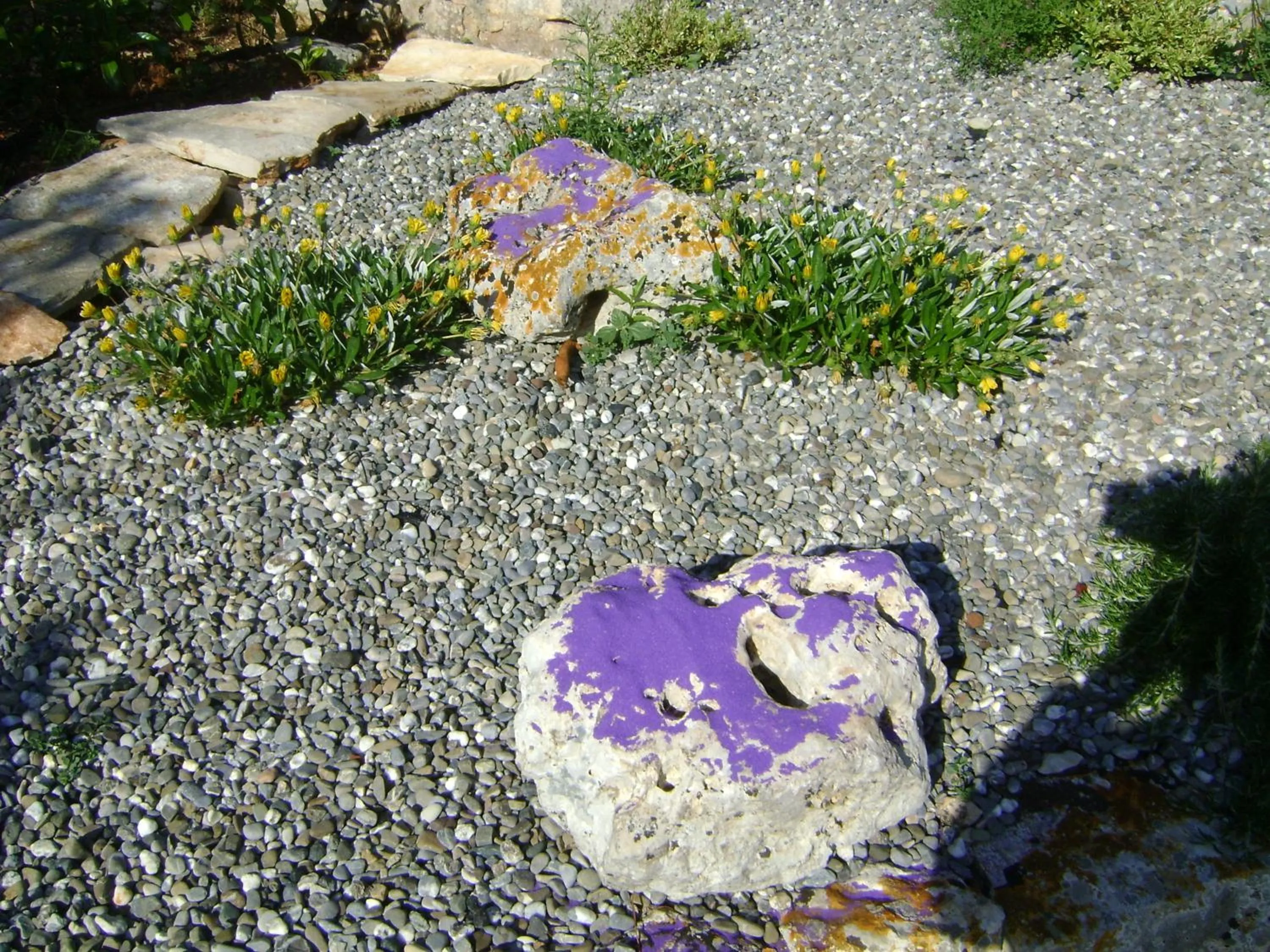 Garden in B&B Tenuta Ranieri