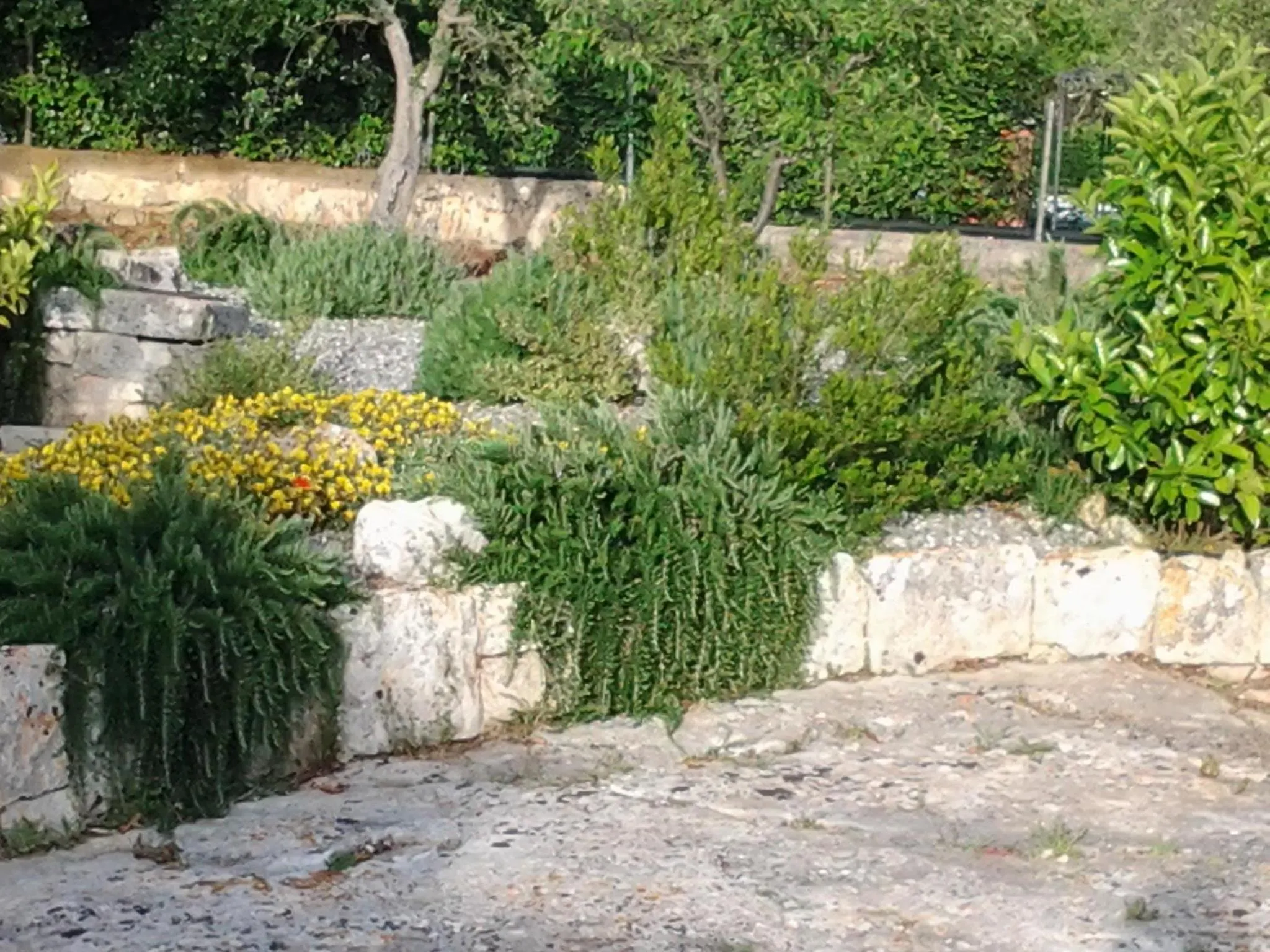 Property building in B&B Tenuta Ranieri