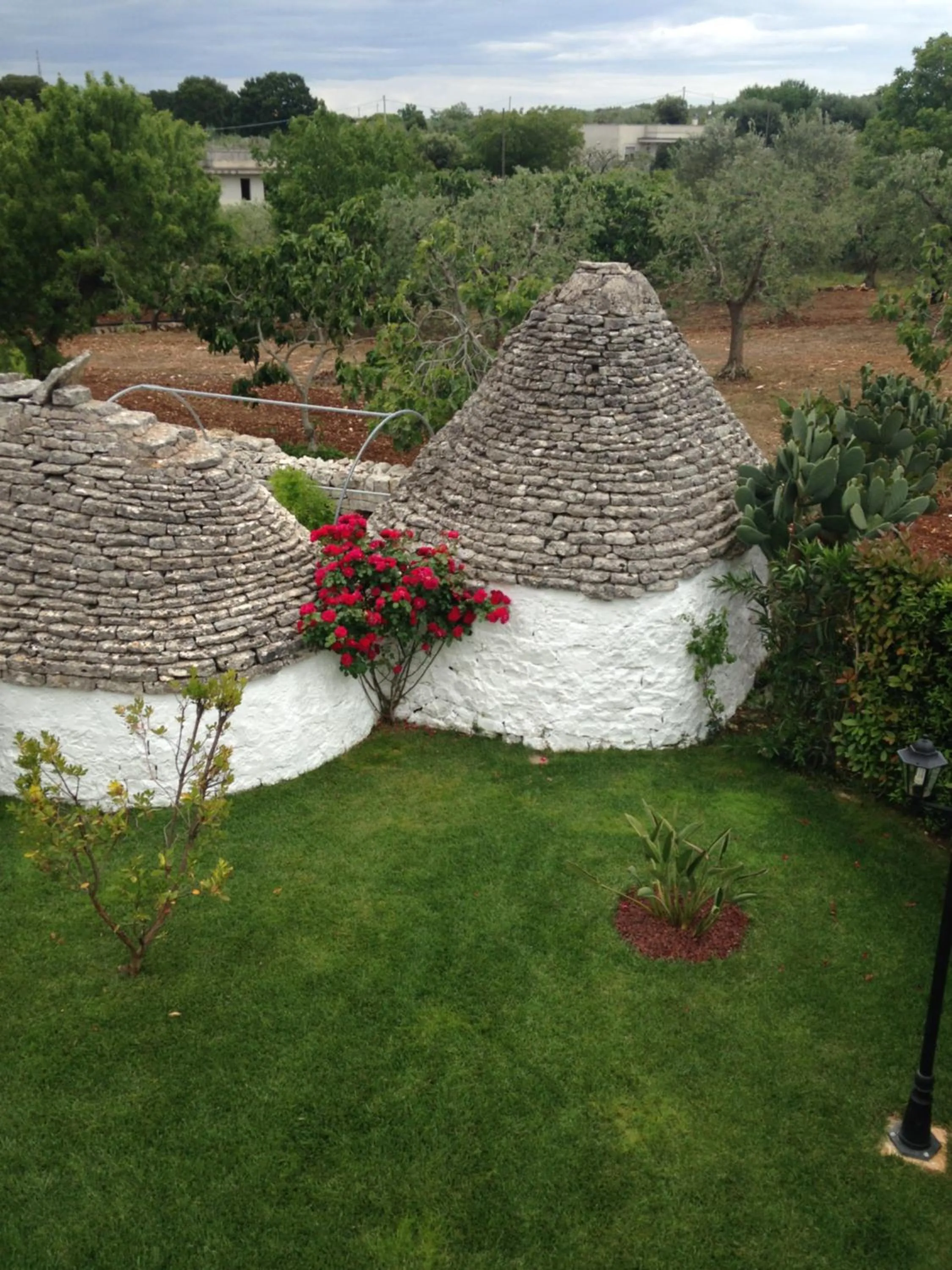 Bird's eye view in B&B Tenuta Ranieri