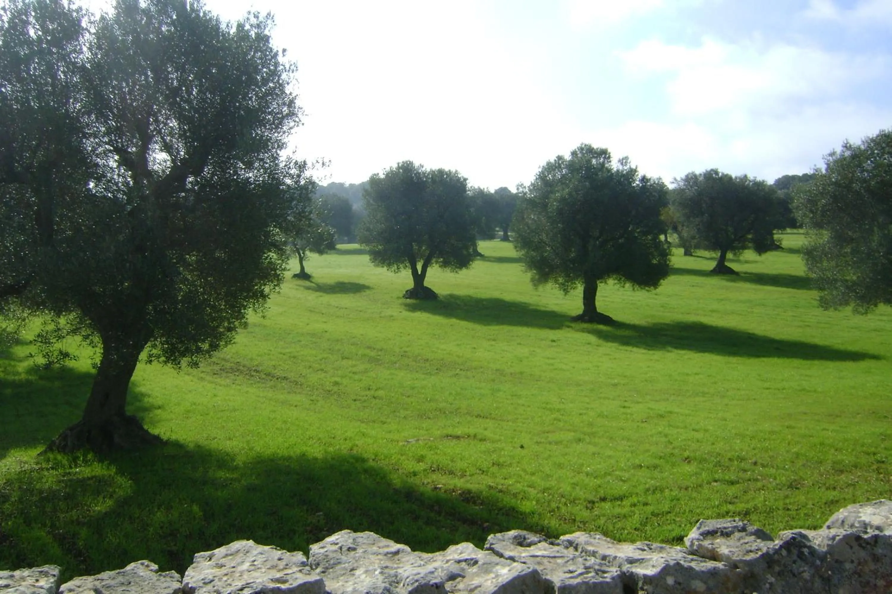 Off site in B&B Tenuta Ranieri