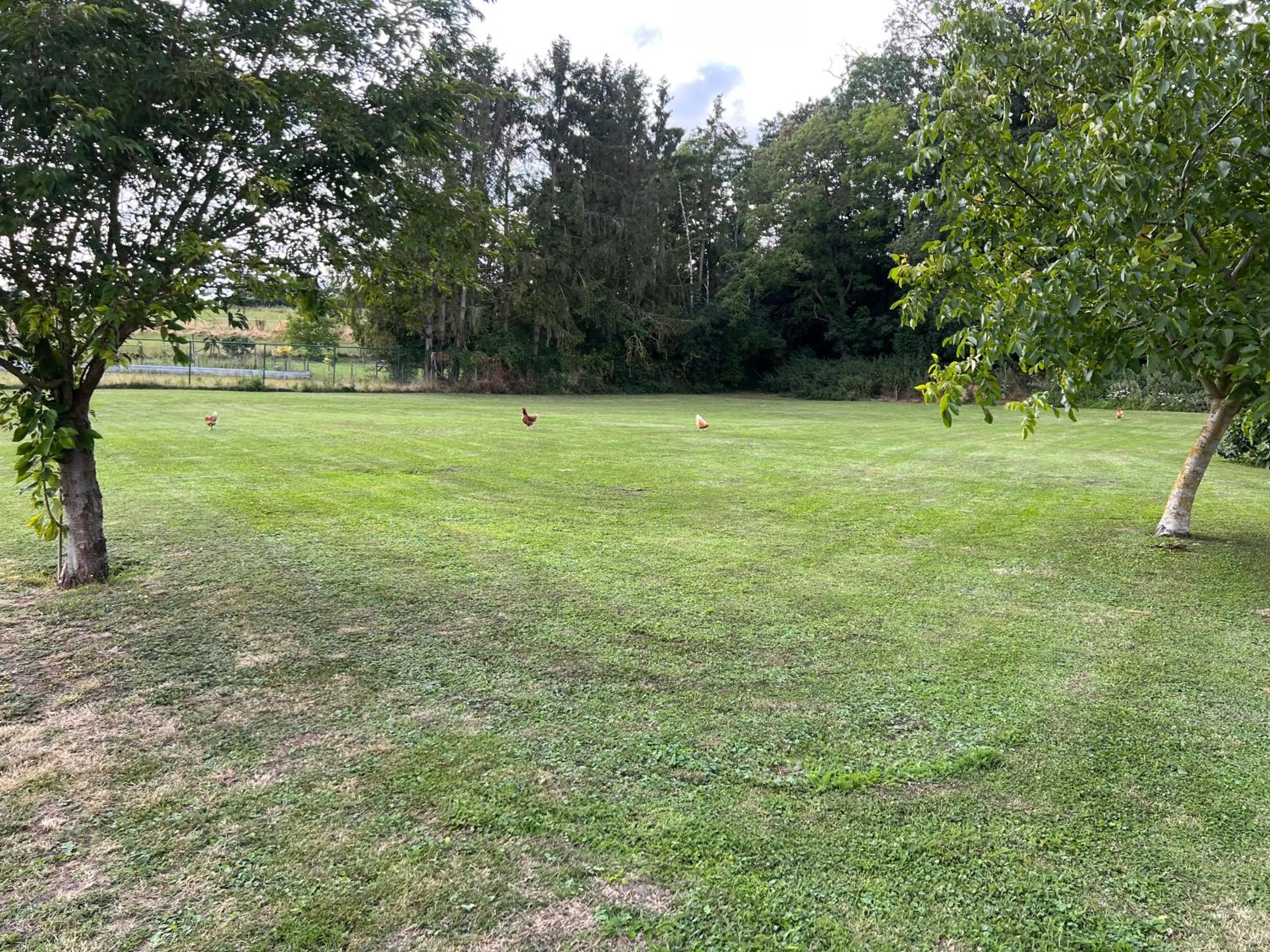 Swimming pool in B&B AntiQua & Qook