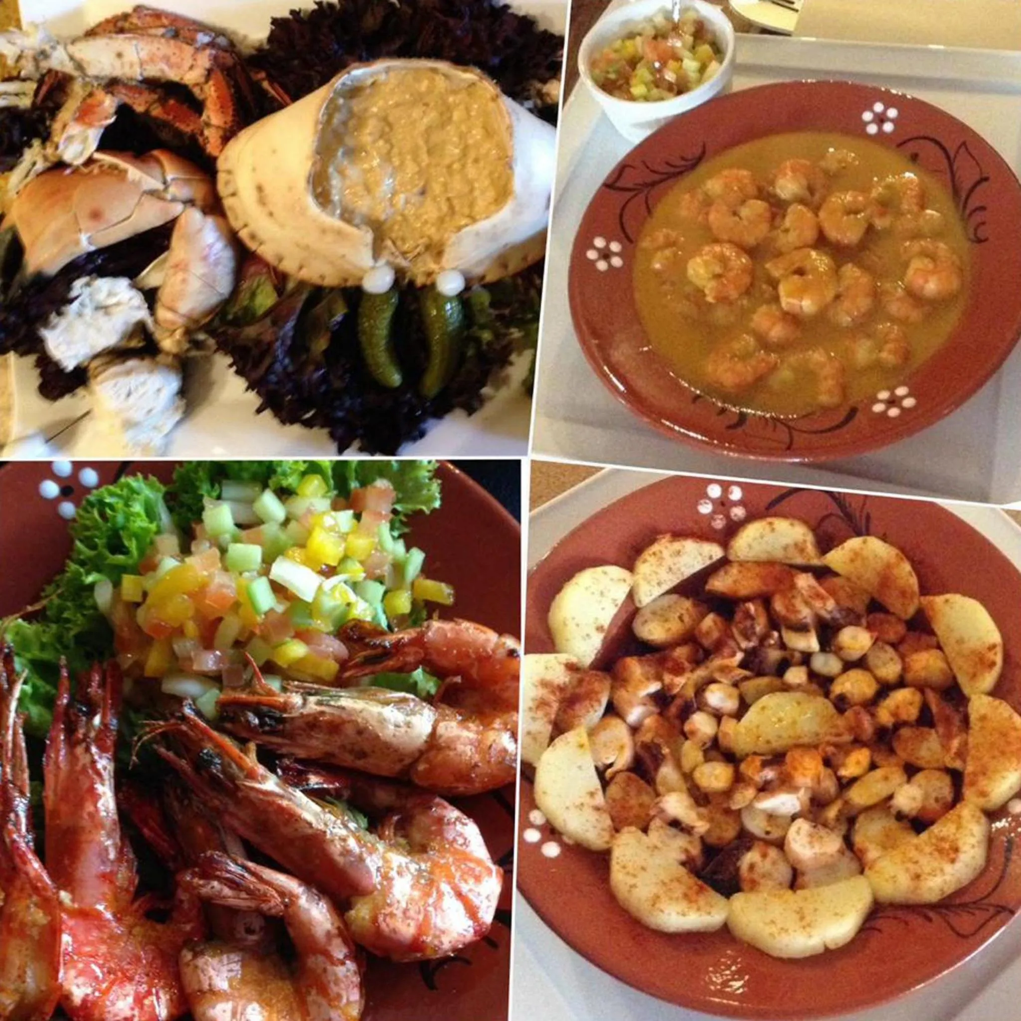 Restaurant/places to eat in B&B AntiQua & Qook