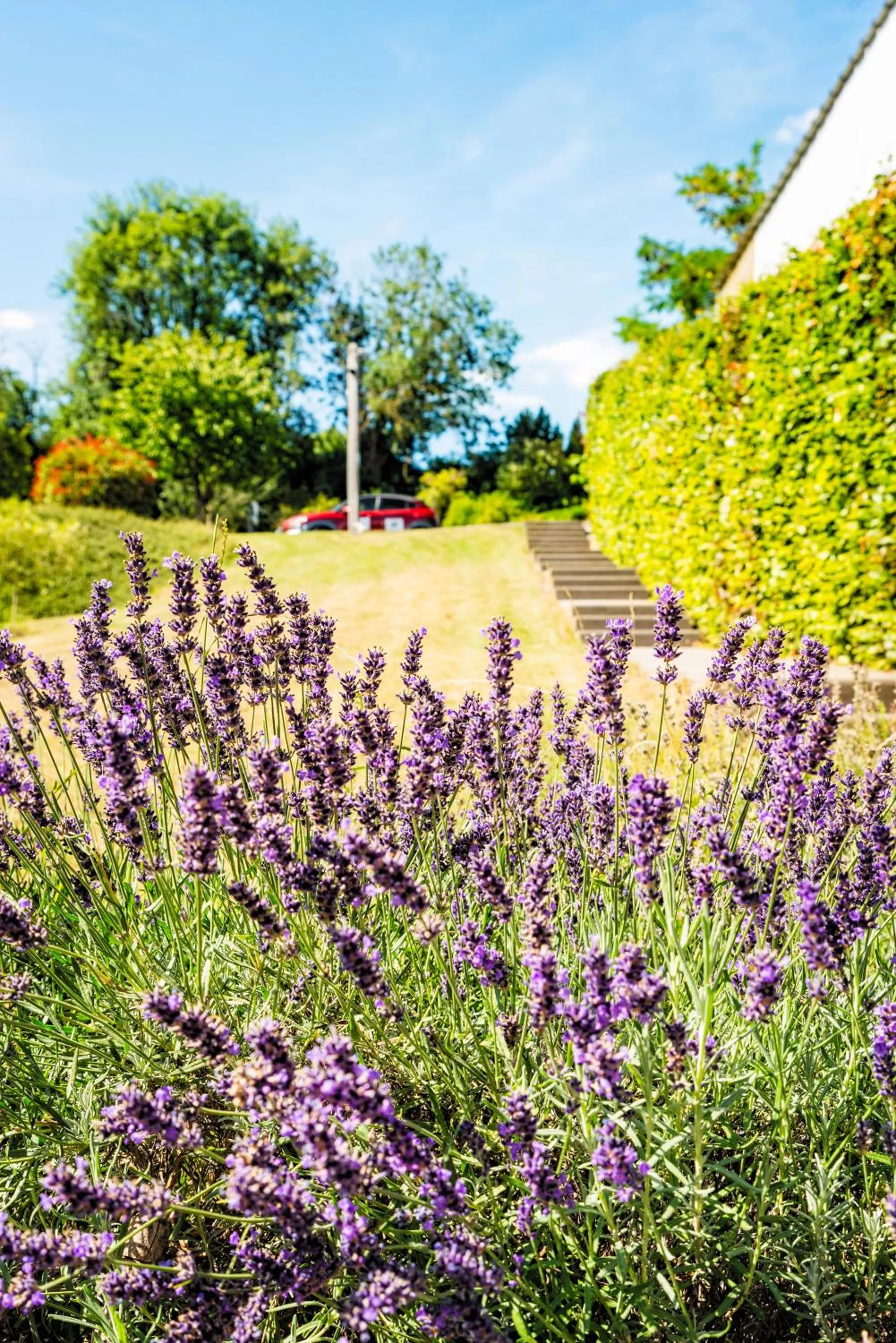 Garden view in B&B AntiQua & Qook