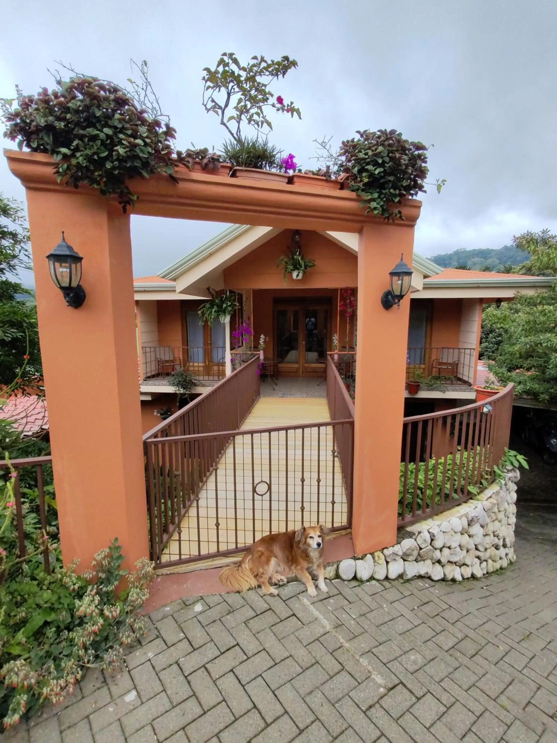 Property building in Mi Casa Su Casa Monteverde