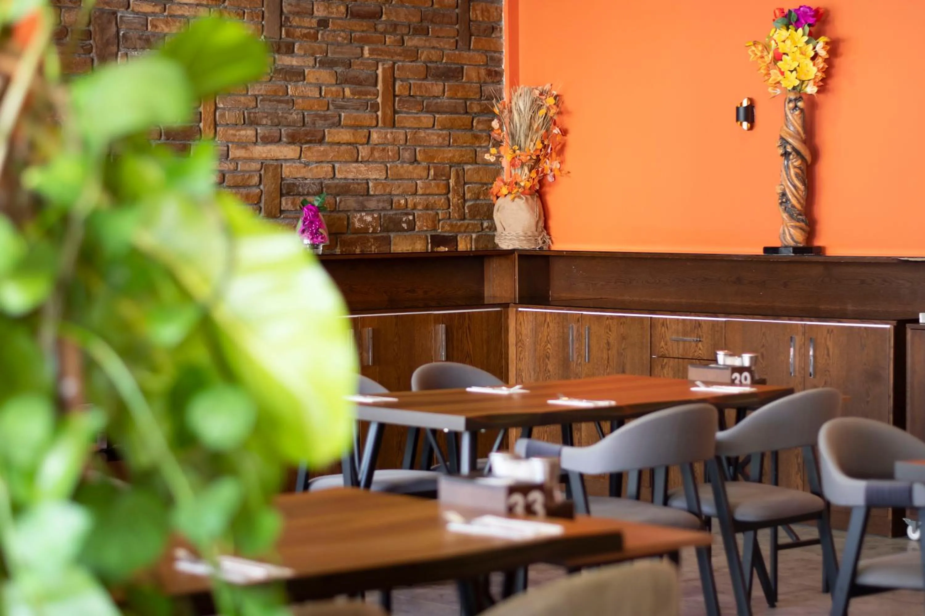 Restaurant/places to eat in Dorana Hotel