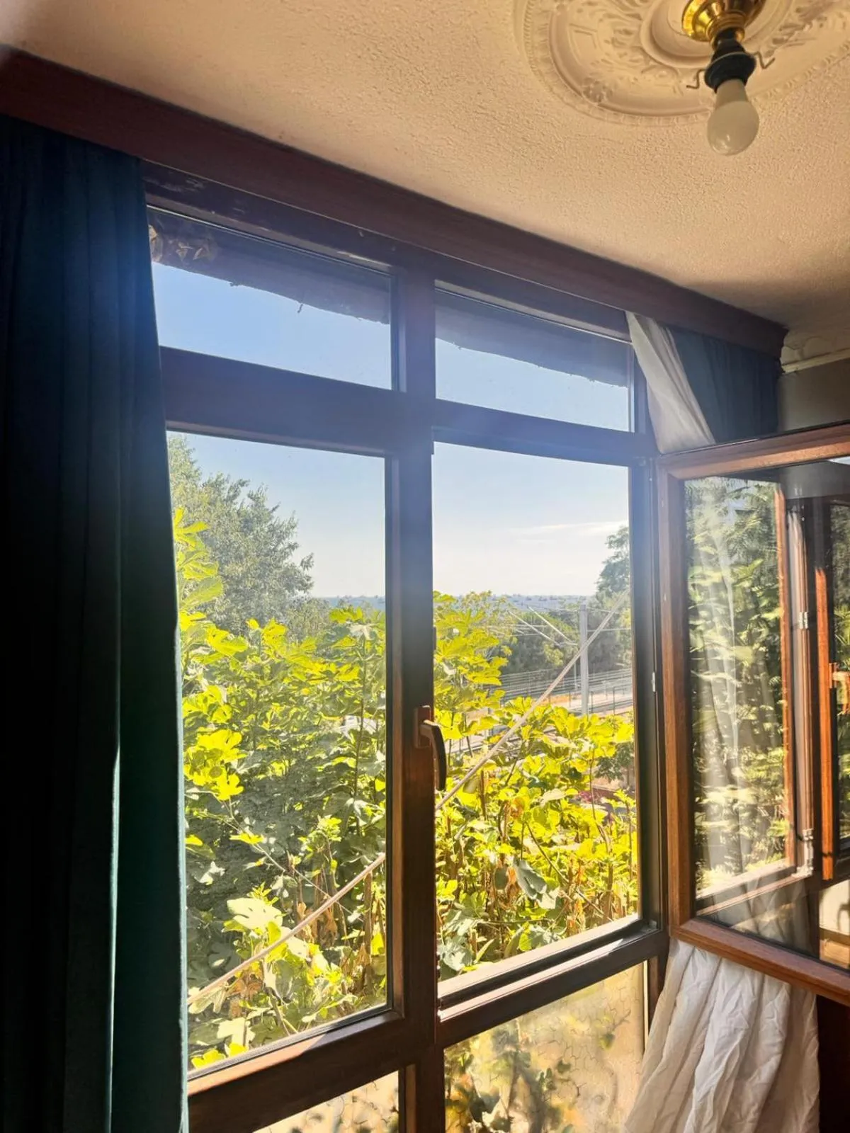 Photo of the whole room in GOLDEN PALACE SEA ViEW