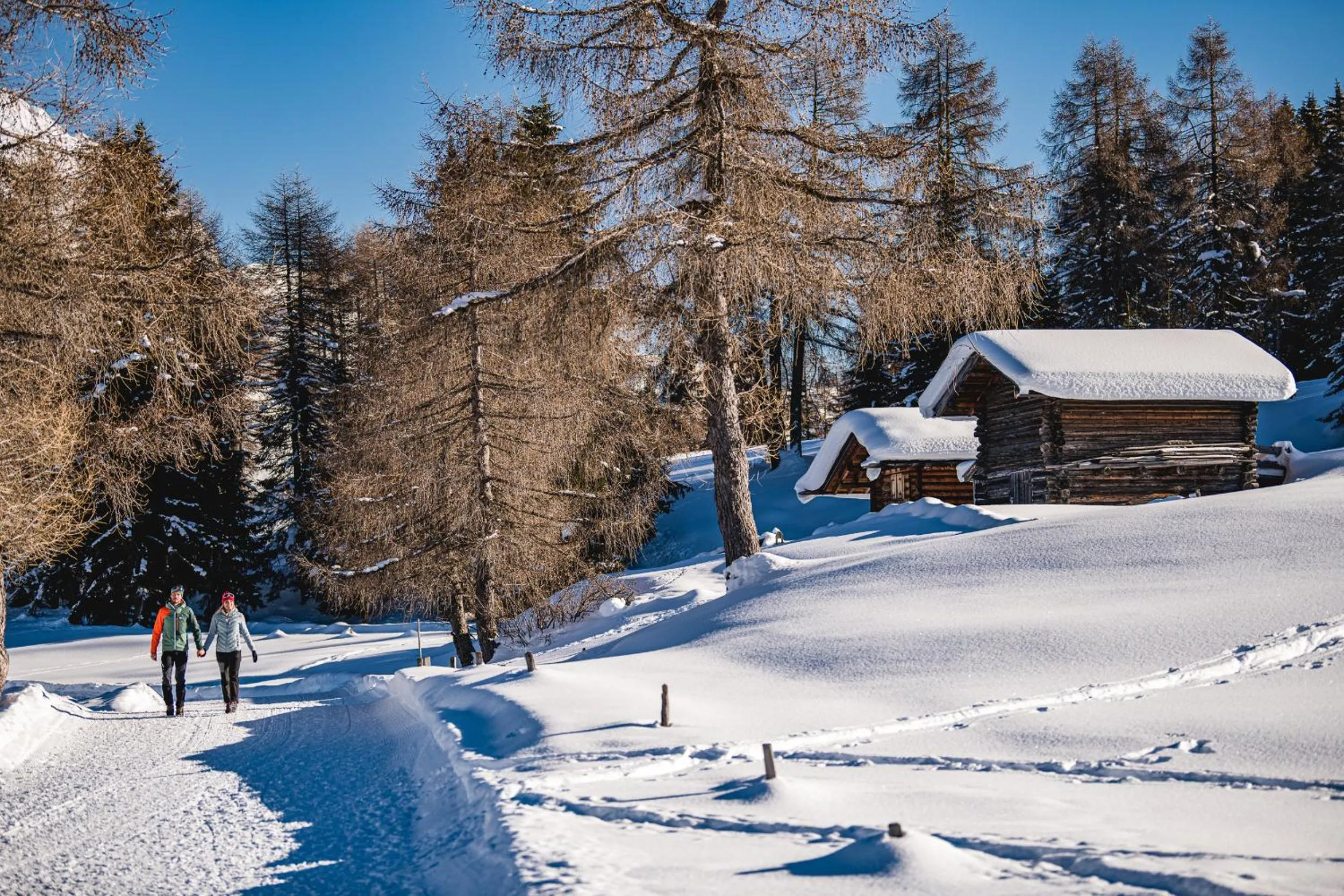 Hiking in Hotel Gasthof Kircher