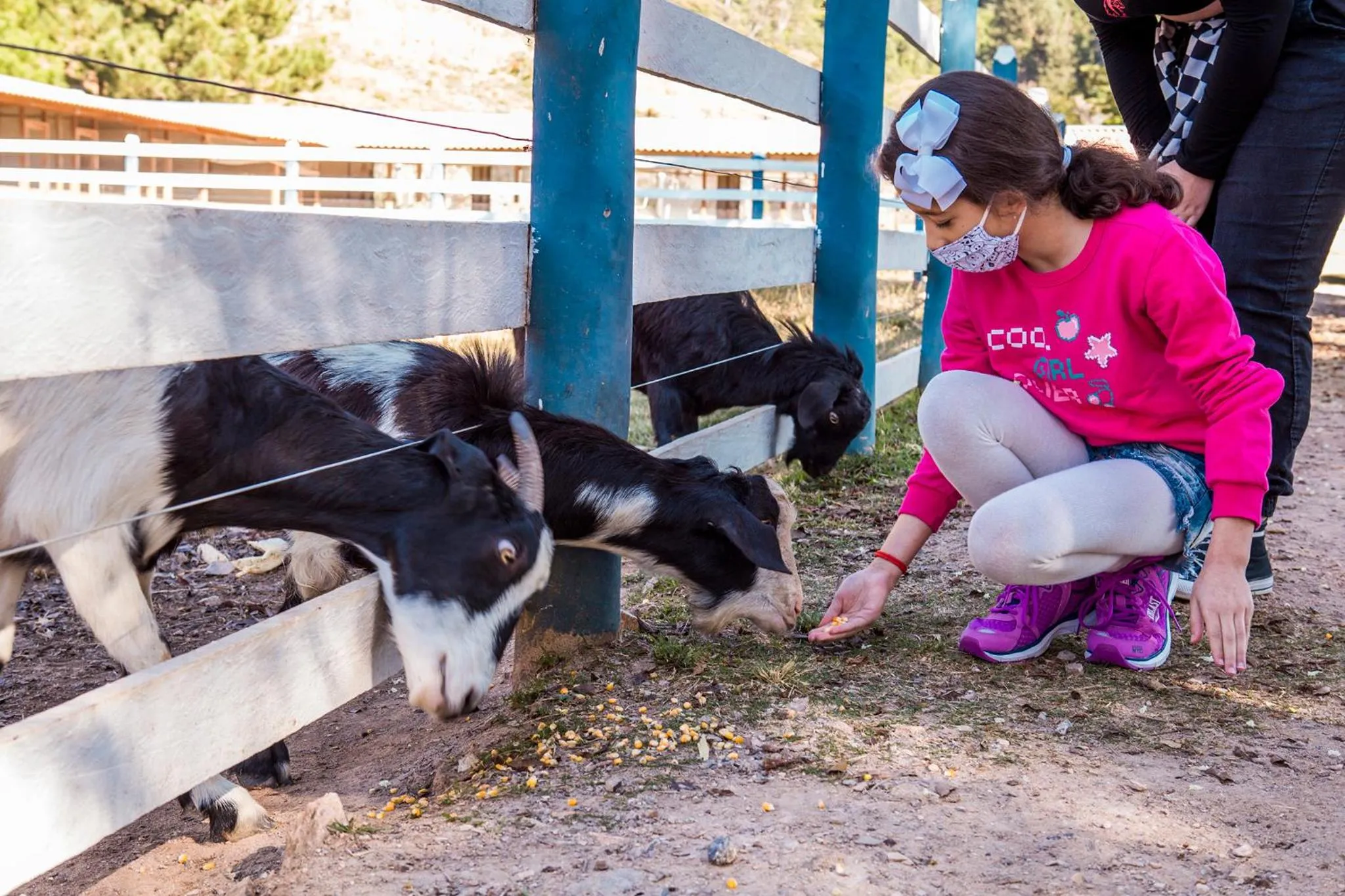 Animals in Guarany Eco Resort