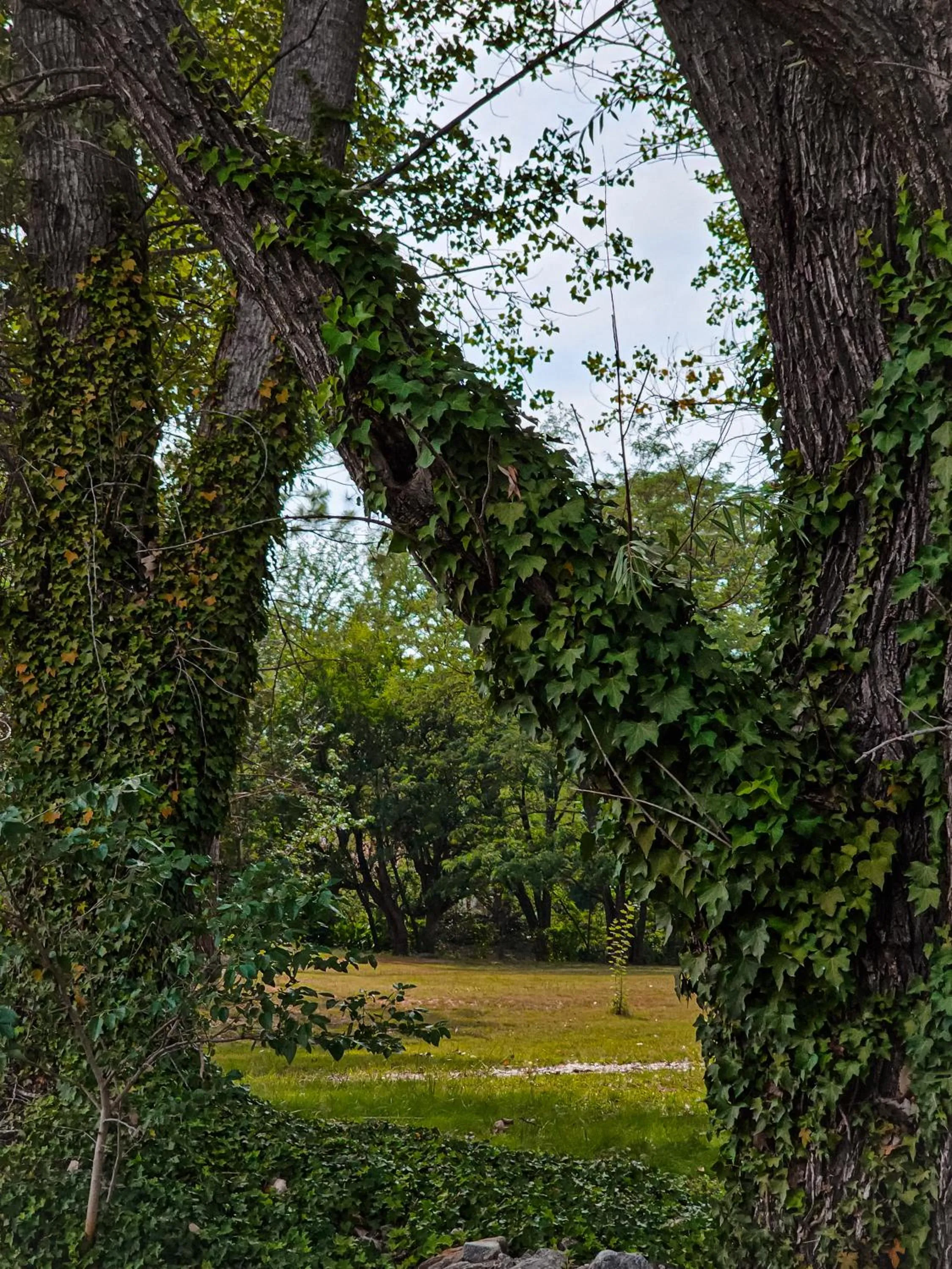 Natural landscape in Posada Quellen
