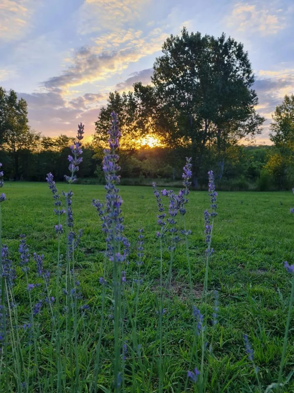 Natural landscape in Posada Quellen