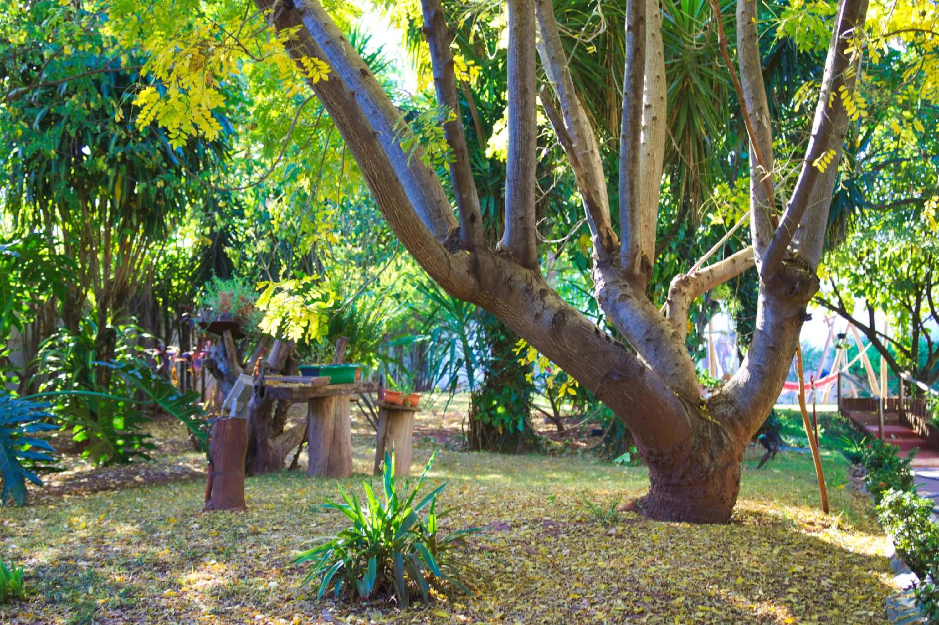 Garden view in Pousada Tia Nena