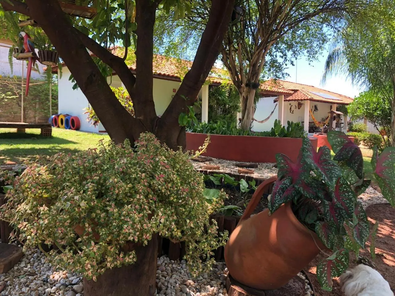 Garden in Pousada Tia Nena