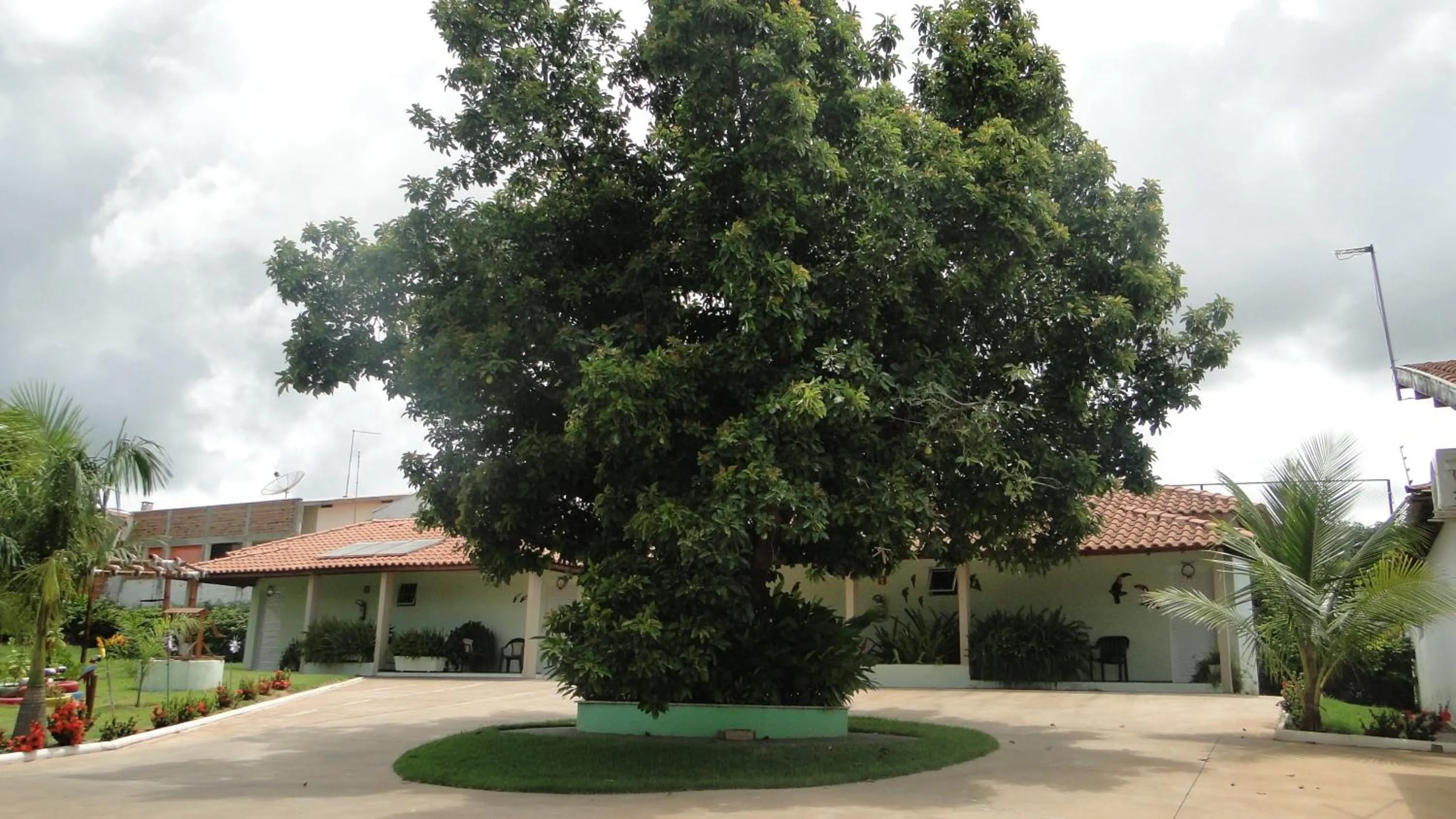 Garden in Pousada Tia Nena