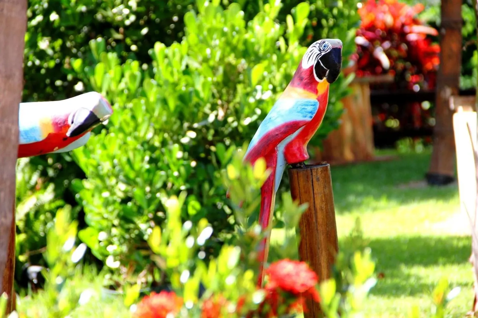 Animals in Pousada Tia Nena