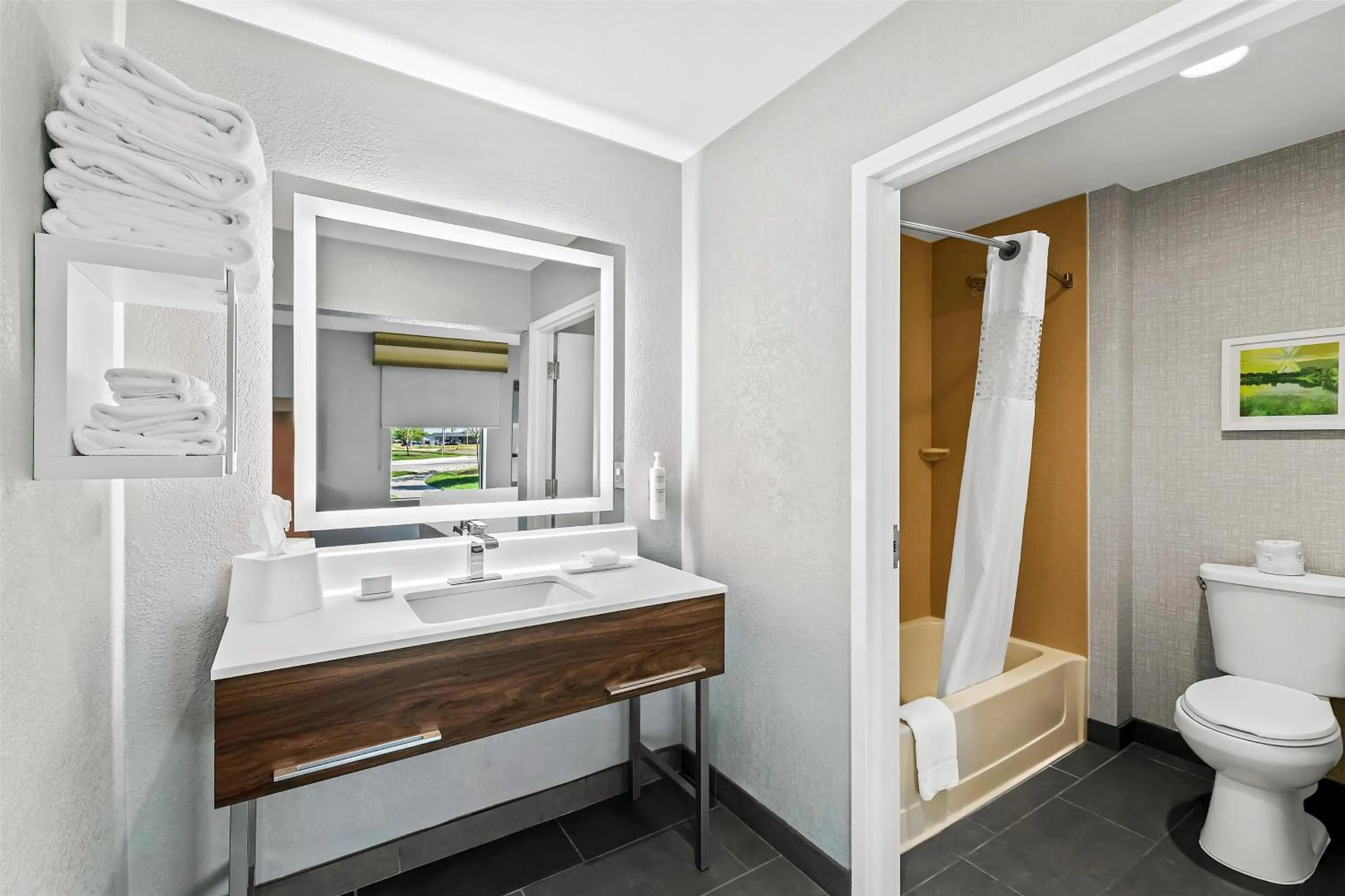 Bathroom in Hampton Inn Omaha/West Dodge Road, Old Mill