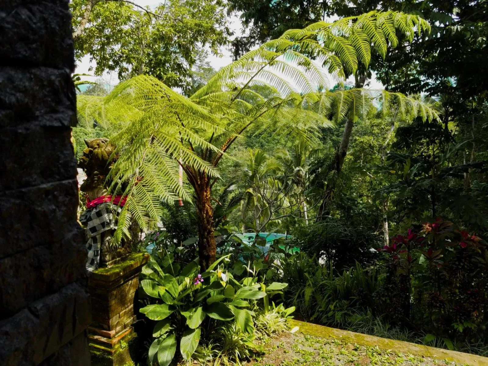 Natural landscape in Angsoka Bungalow