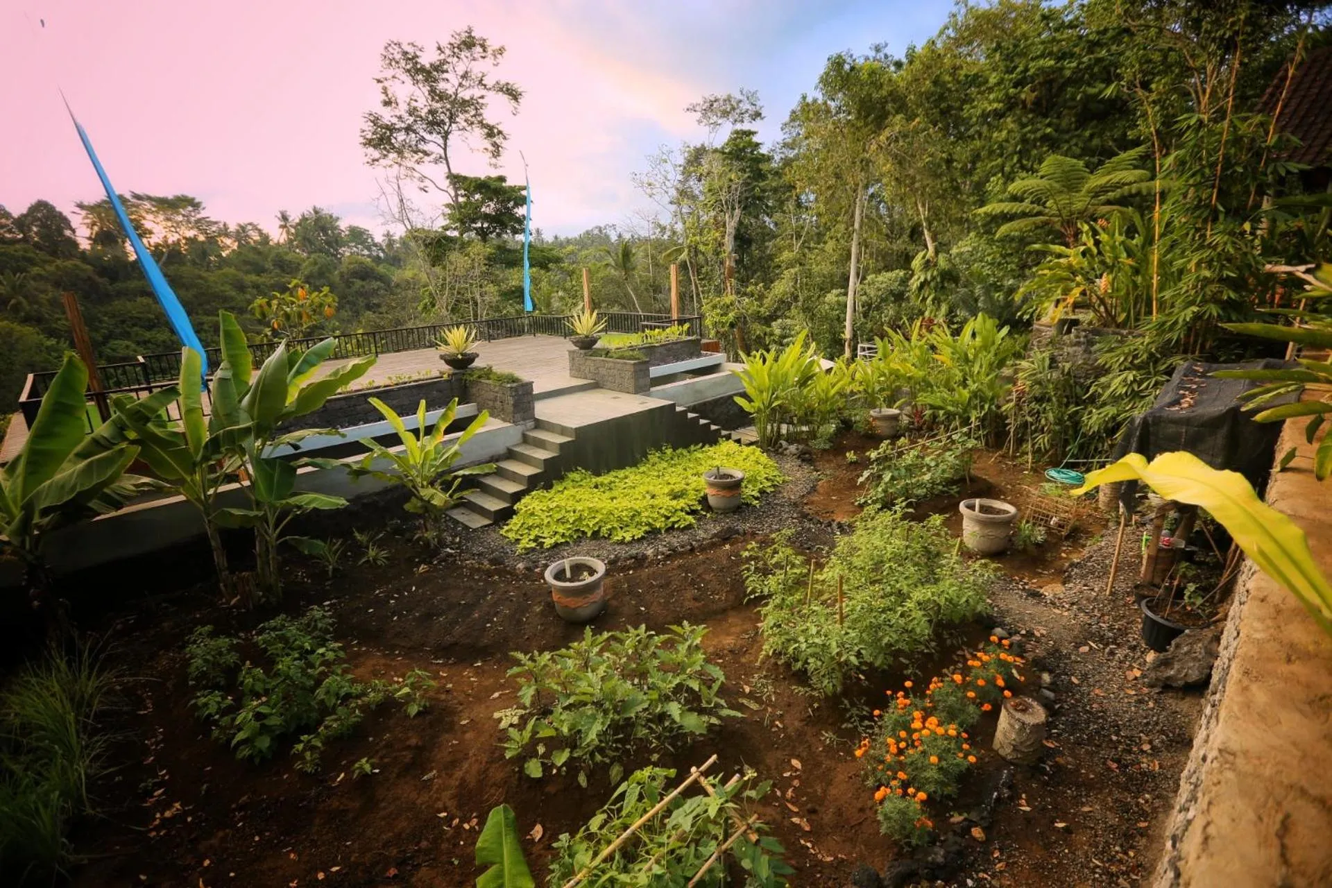 Garden view in Angsoka Bungalow