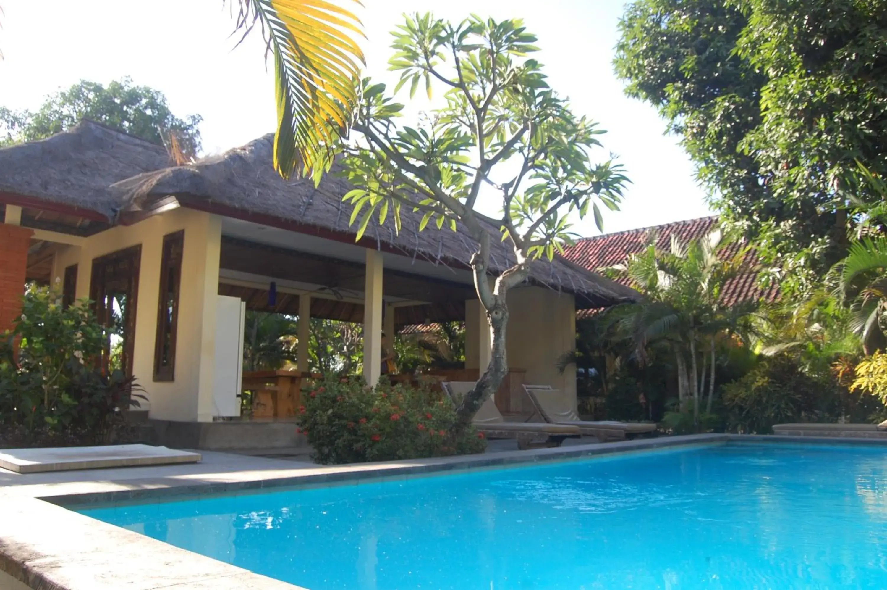 Star East Bungalows Star East Bungalows