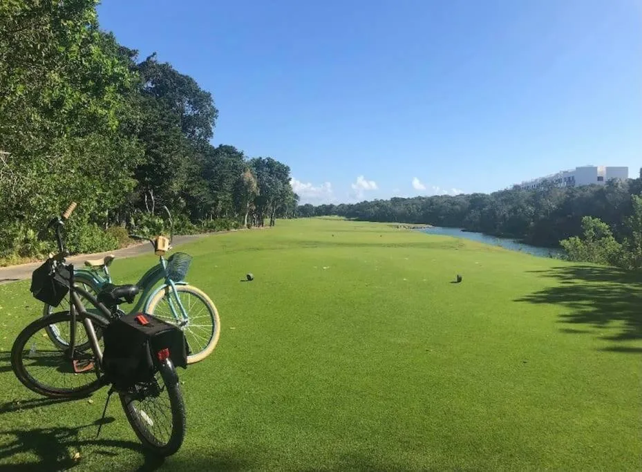 Luxury Apartment with M Benz and & Driver Included