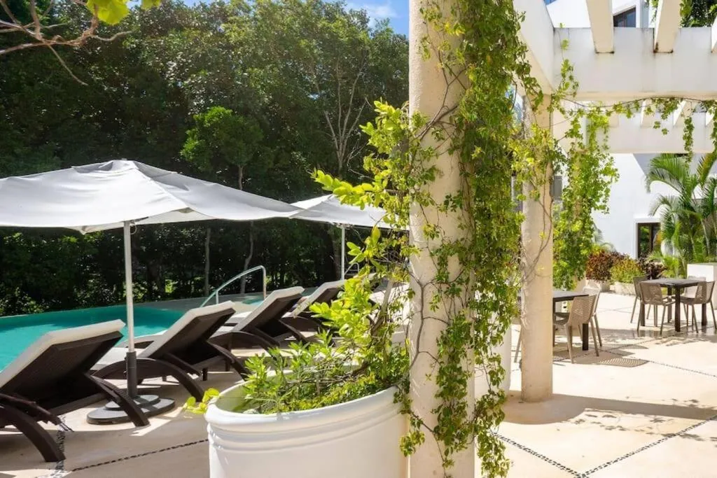 Luxury Apartment with M Benz and & Driver Included