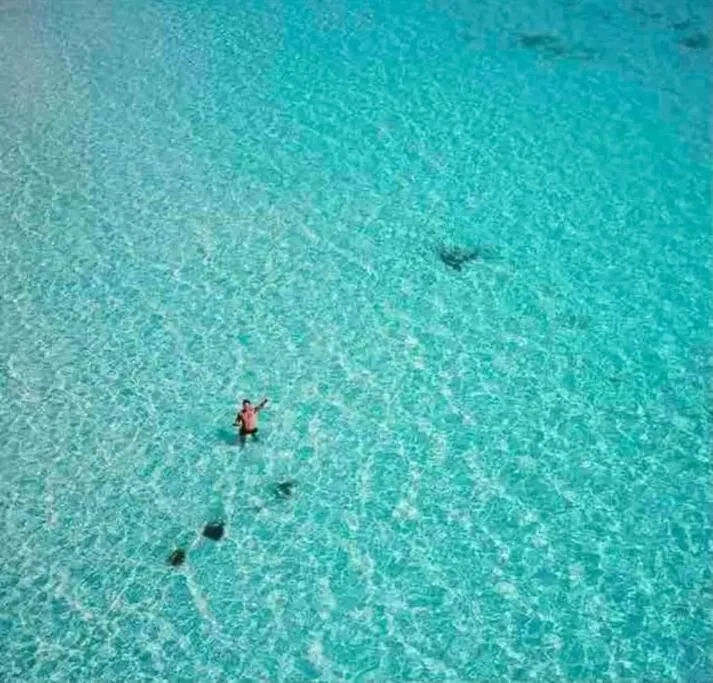 Luxury Apartment with M Benz and & Driver Included