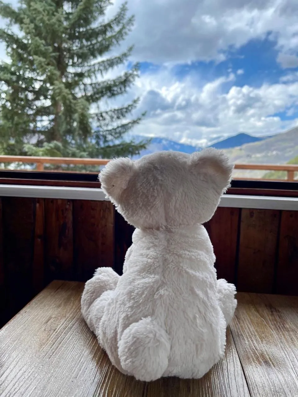 Mountain view in Hôtel Chalet Le Panoramique