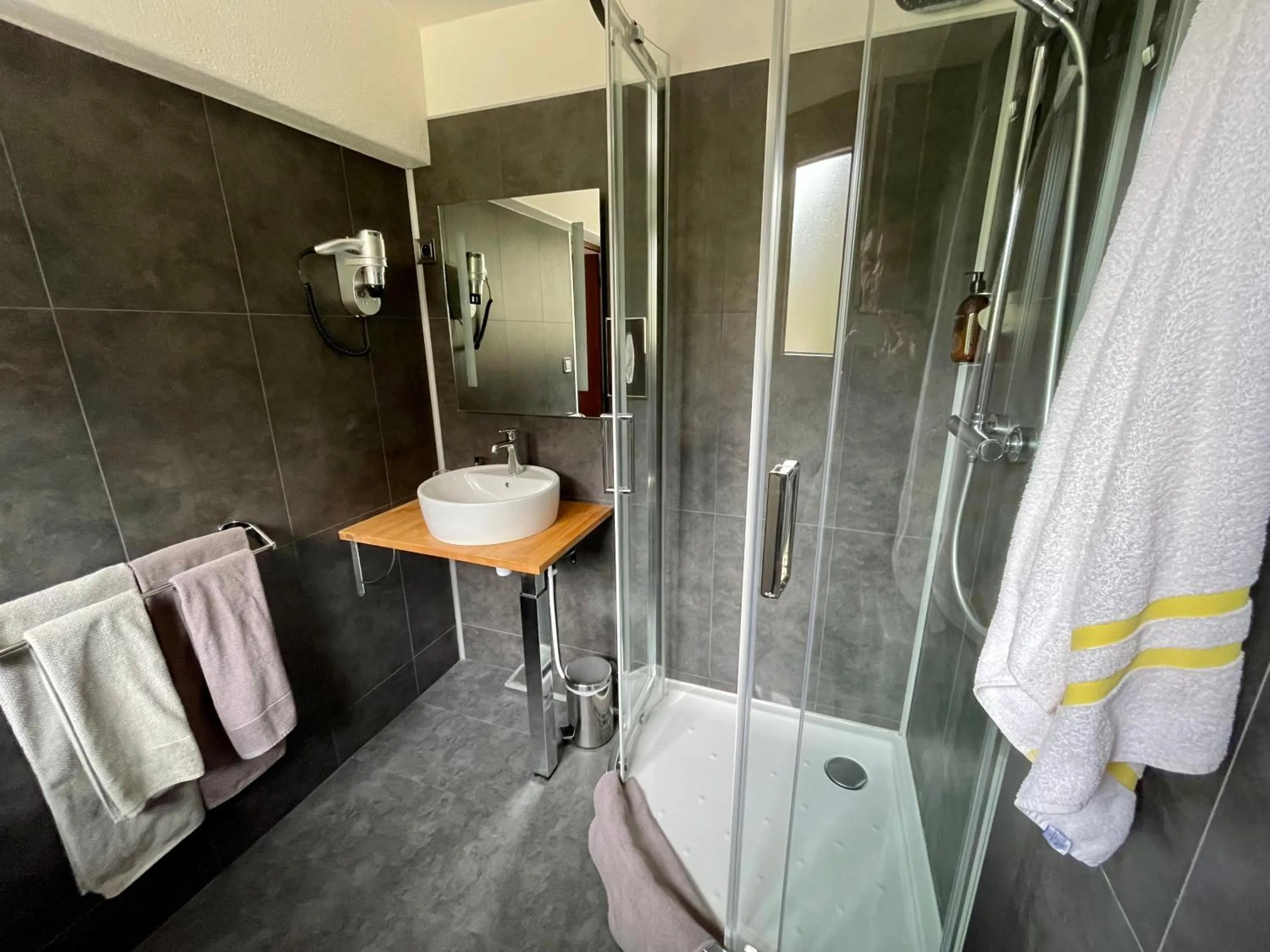 Shower in Hôtel Chalet Le Panoramique