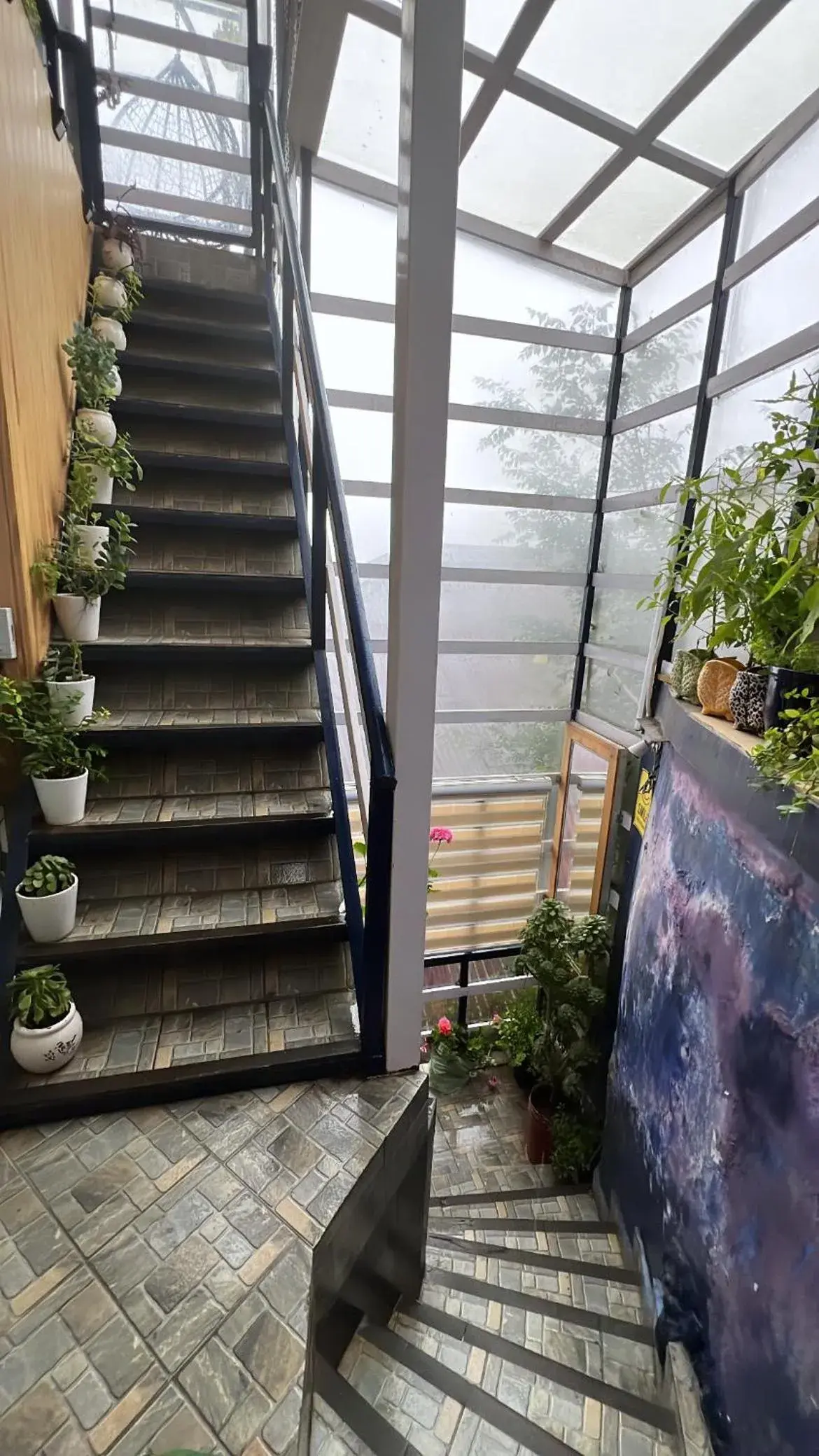 Facade/entrance in Clarence Cottage Facade/entrance in Clarence Cottage