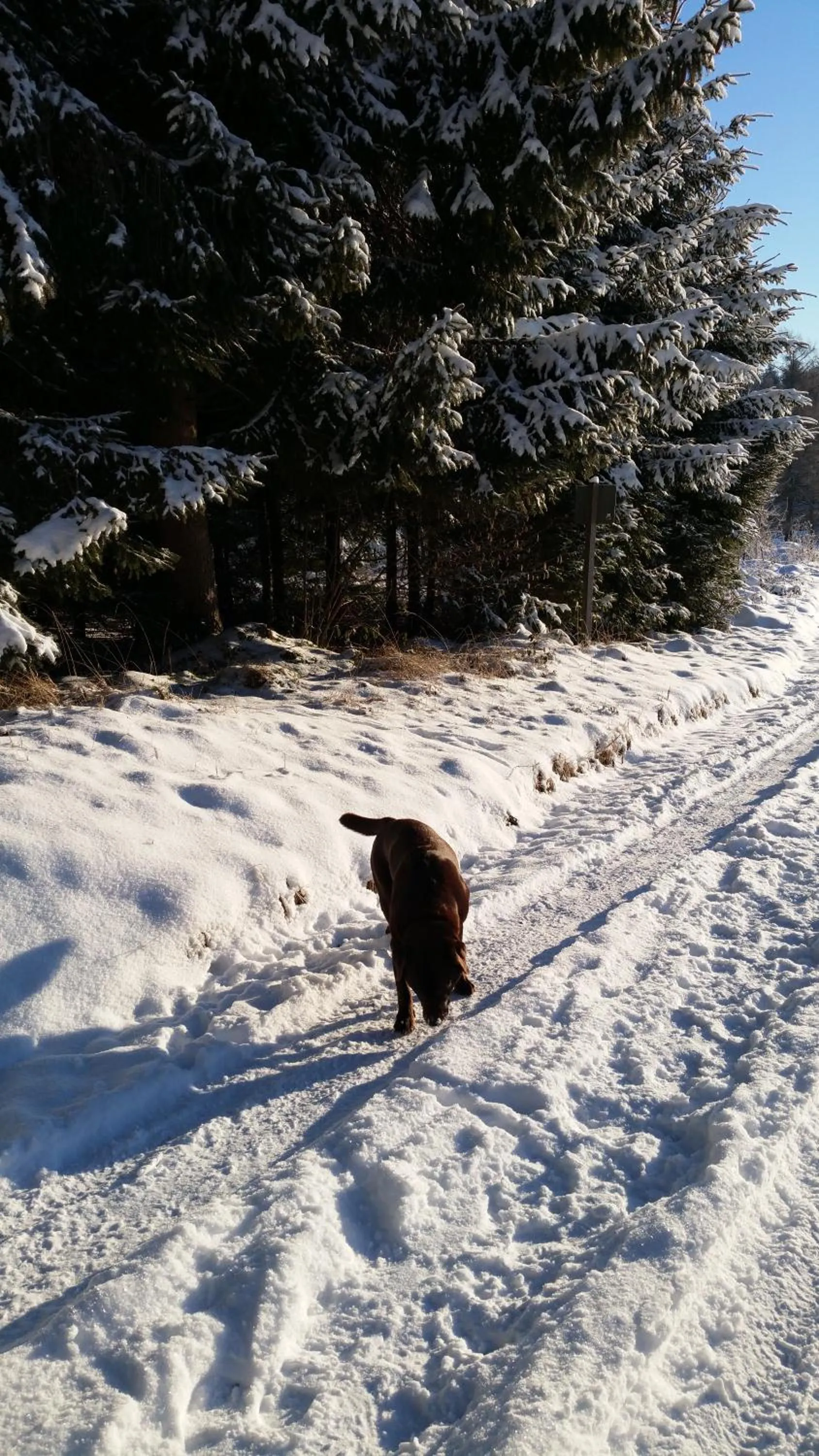 Winter in Adam & Eva Gasthof Paradies mit Hotel