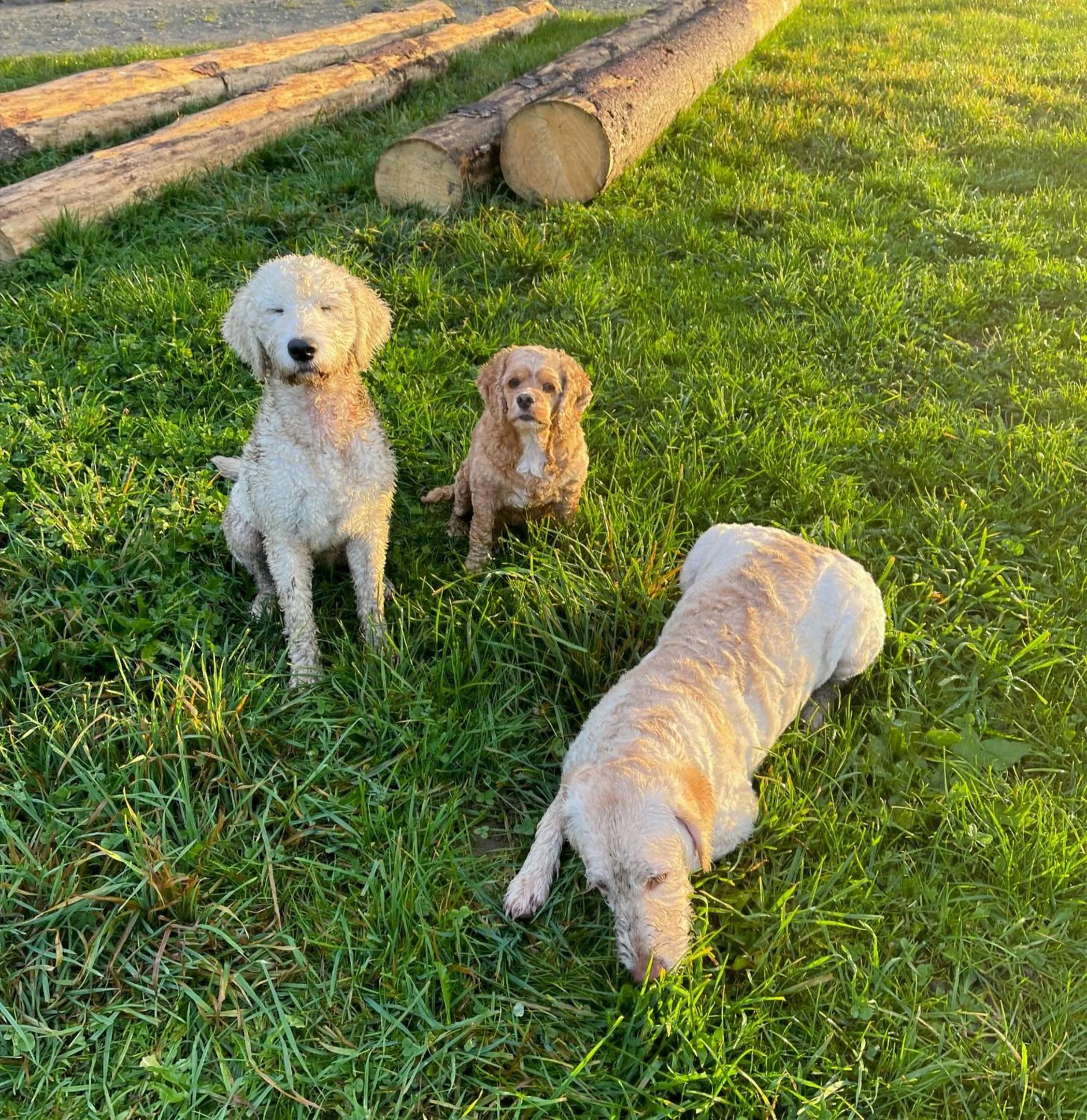 Staff in Adam & Eva Gasthof Paradies mit Hotel