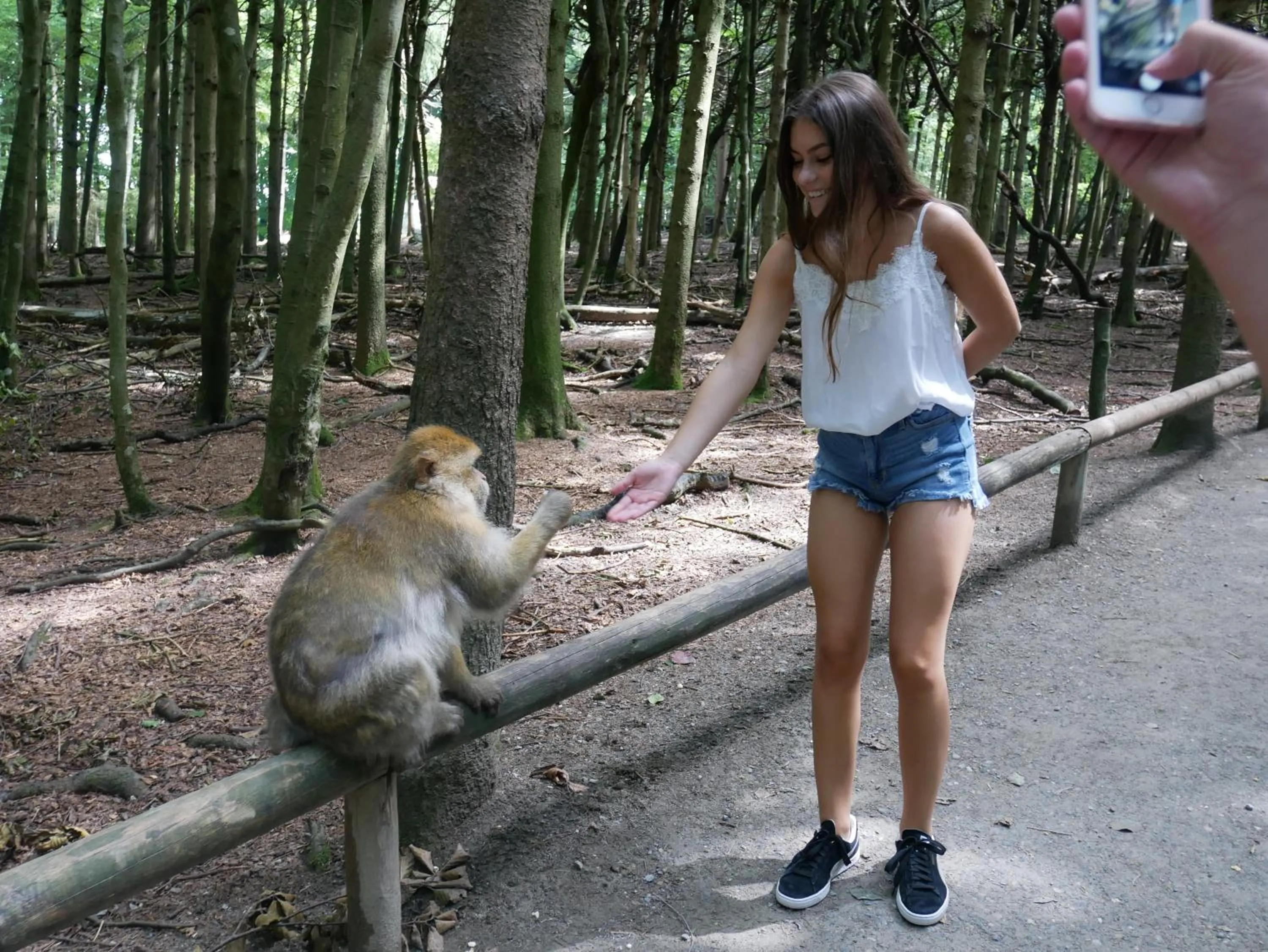 Nearby landmark in Adam & Eva Gasthof Paradies mit Hotel
