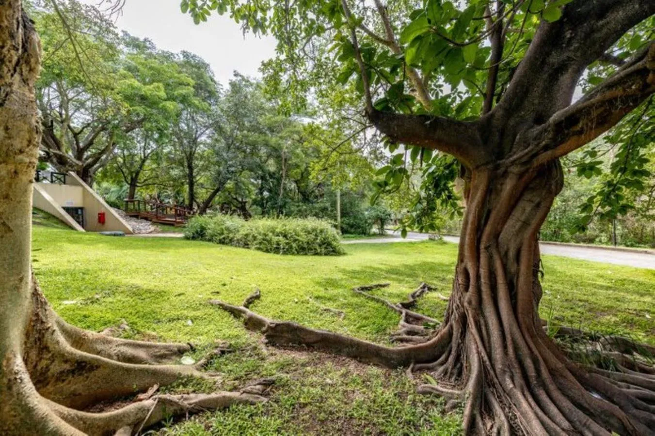 Garden in Sanbonani Hotel