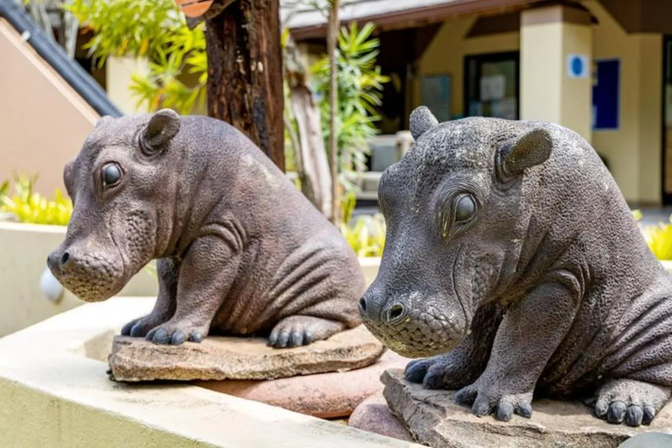 Property building in Sanbonani Hotel