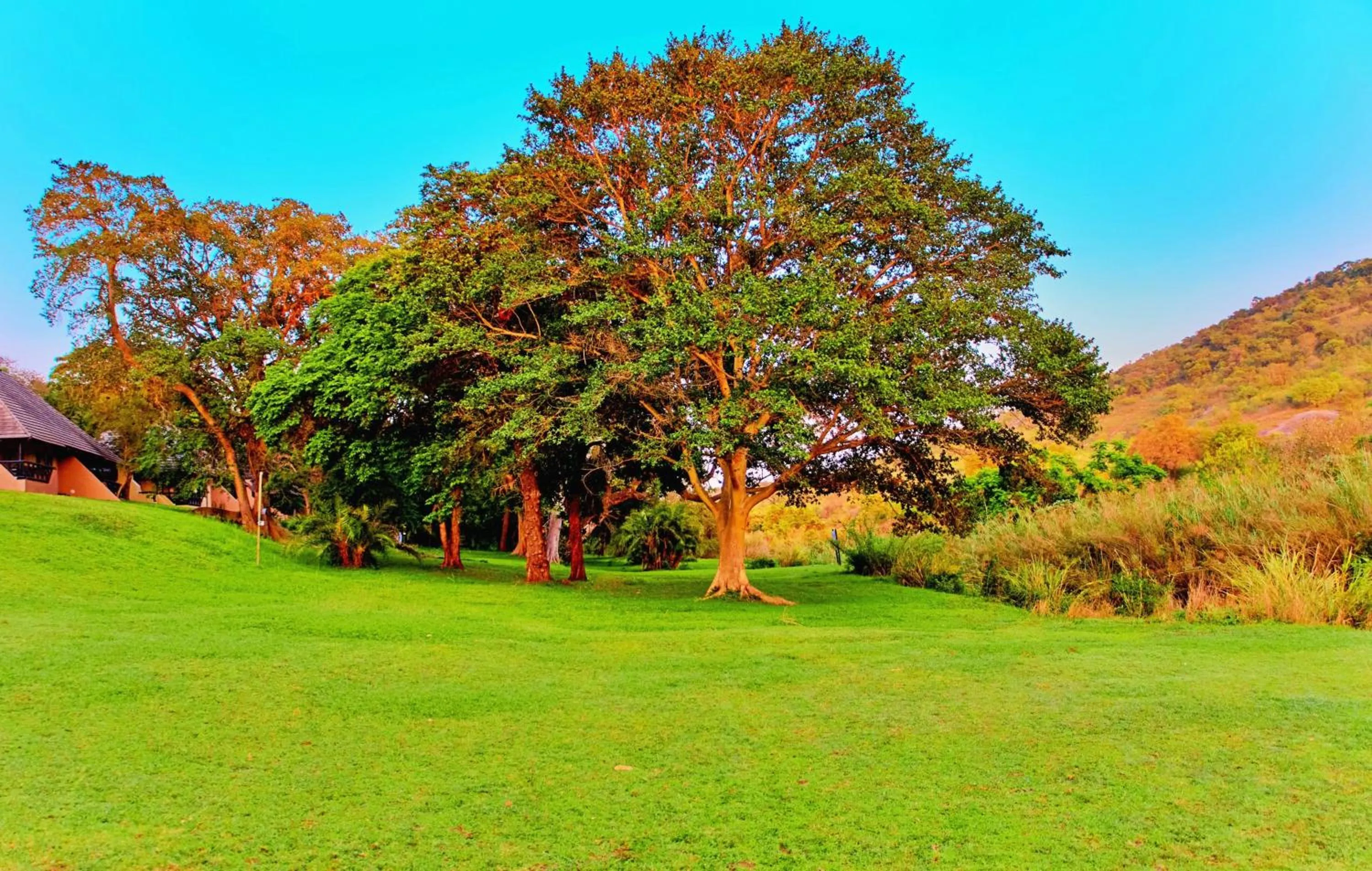 Natural landscape in Sanbonani Hotel