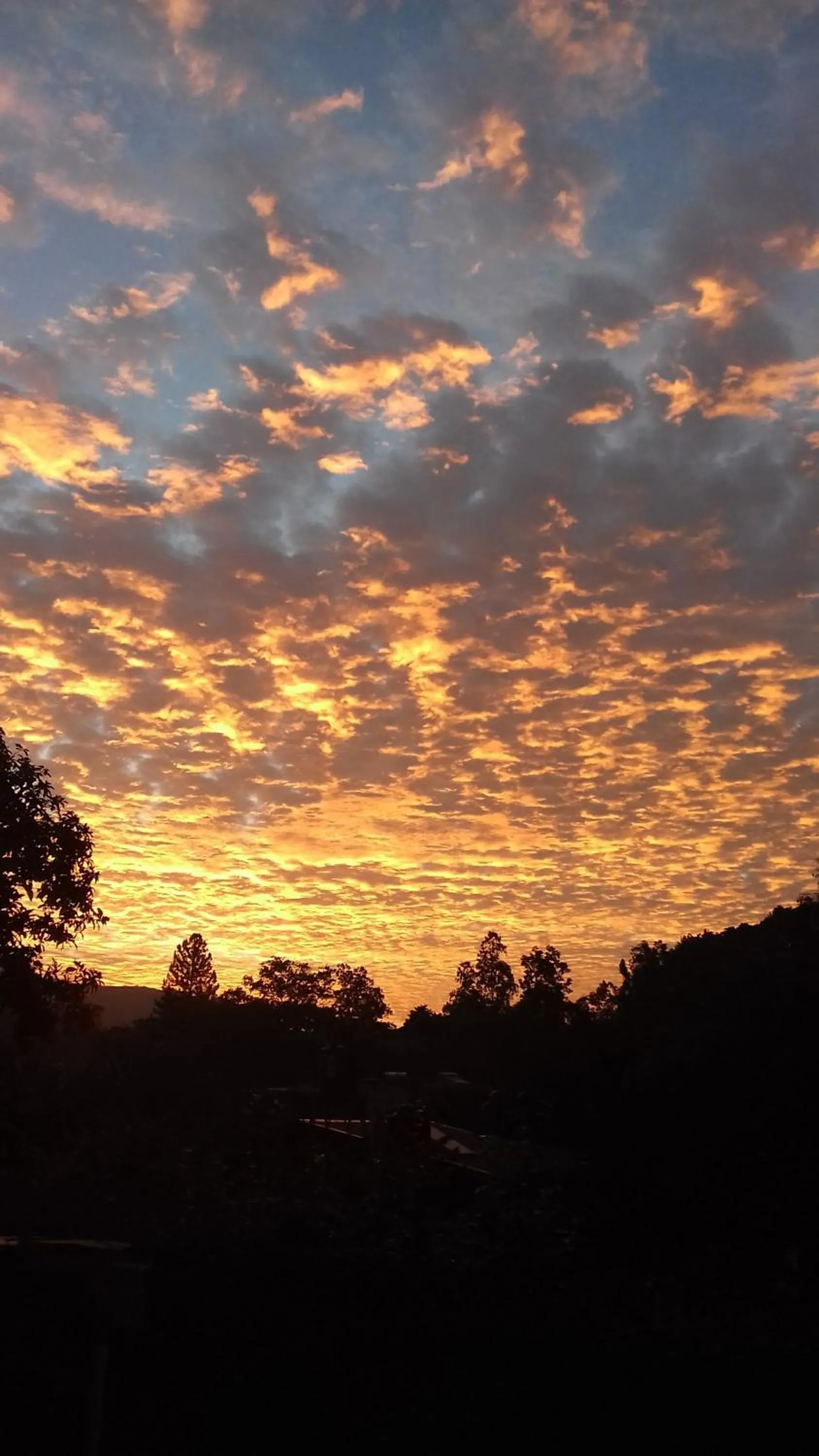 Mountain view in Holiday Homes Guest Inn - Ella