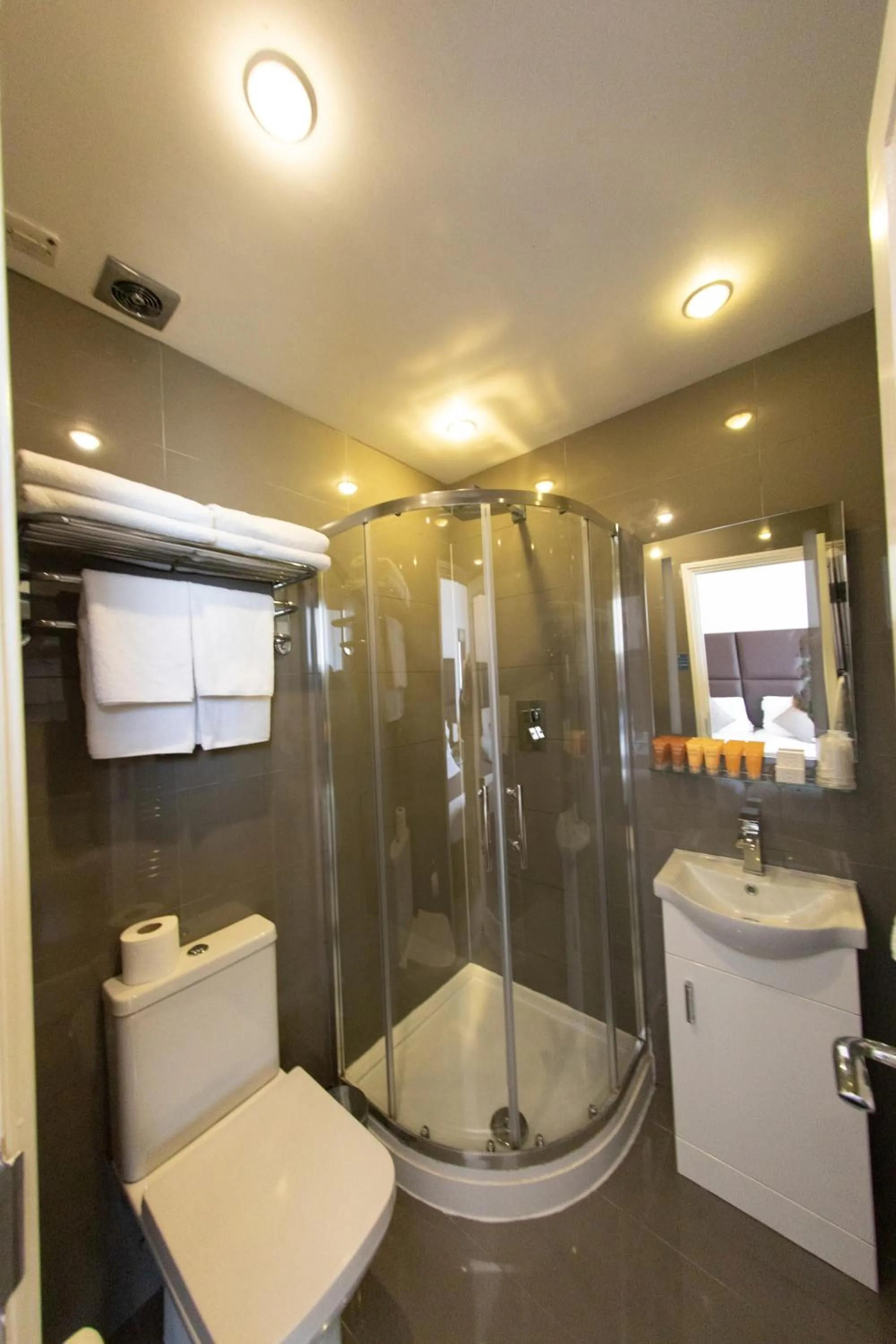 Shower in Duke Of Leinster Hotel