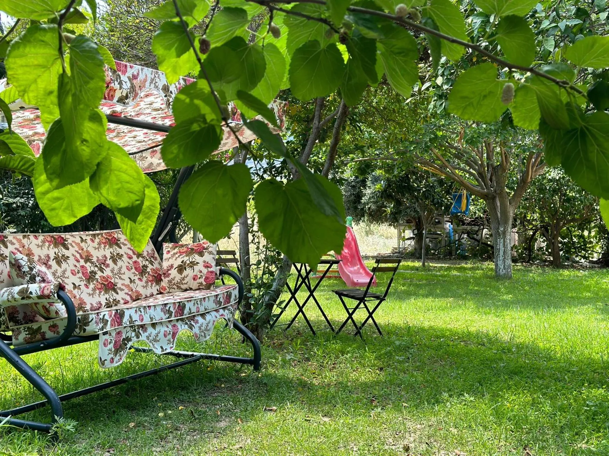 Garden in Datca house butik otel