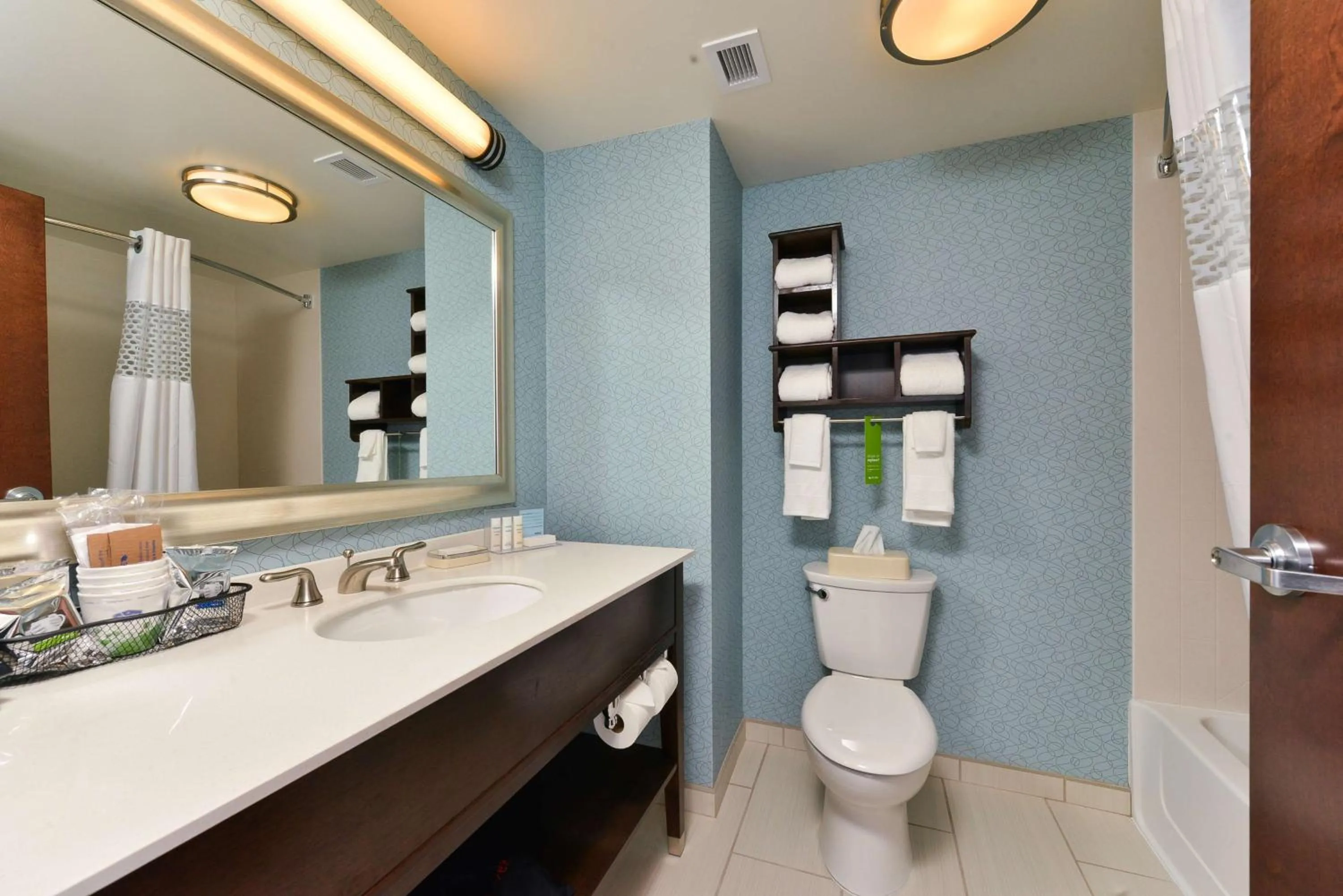 Bathroom in Hampton Inn Corning/Painted Post