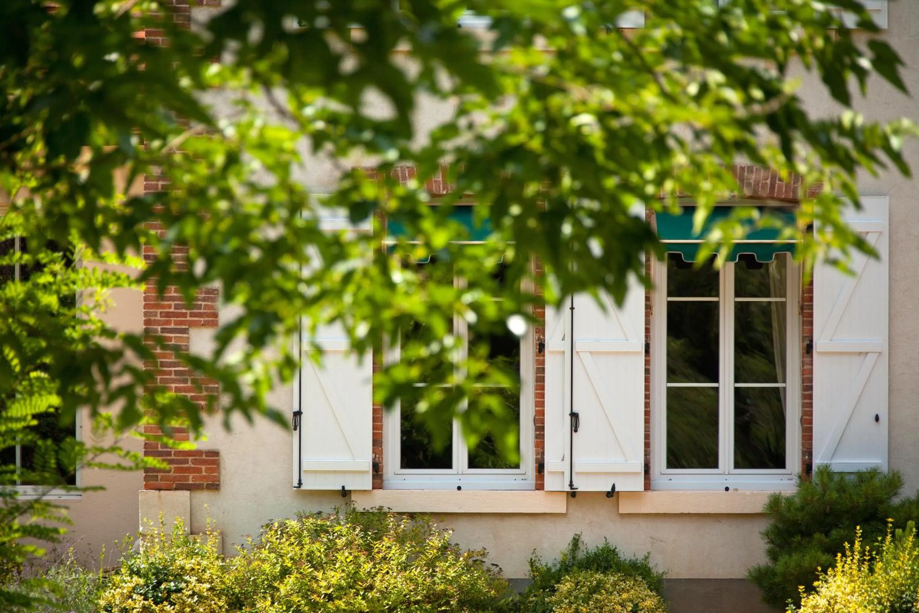 Garden view in Le Tronçais
