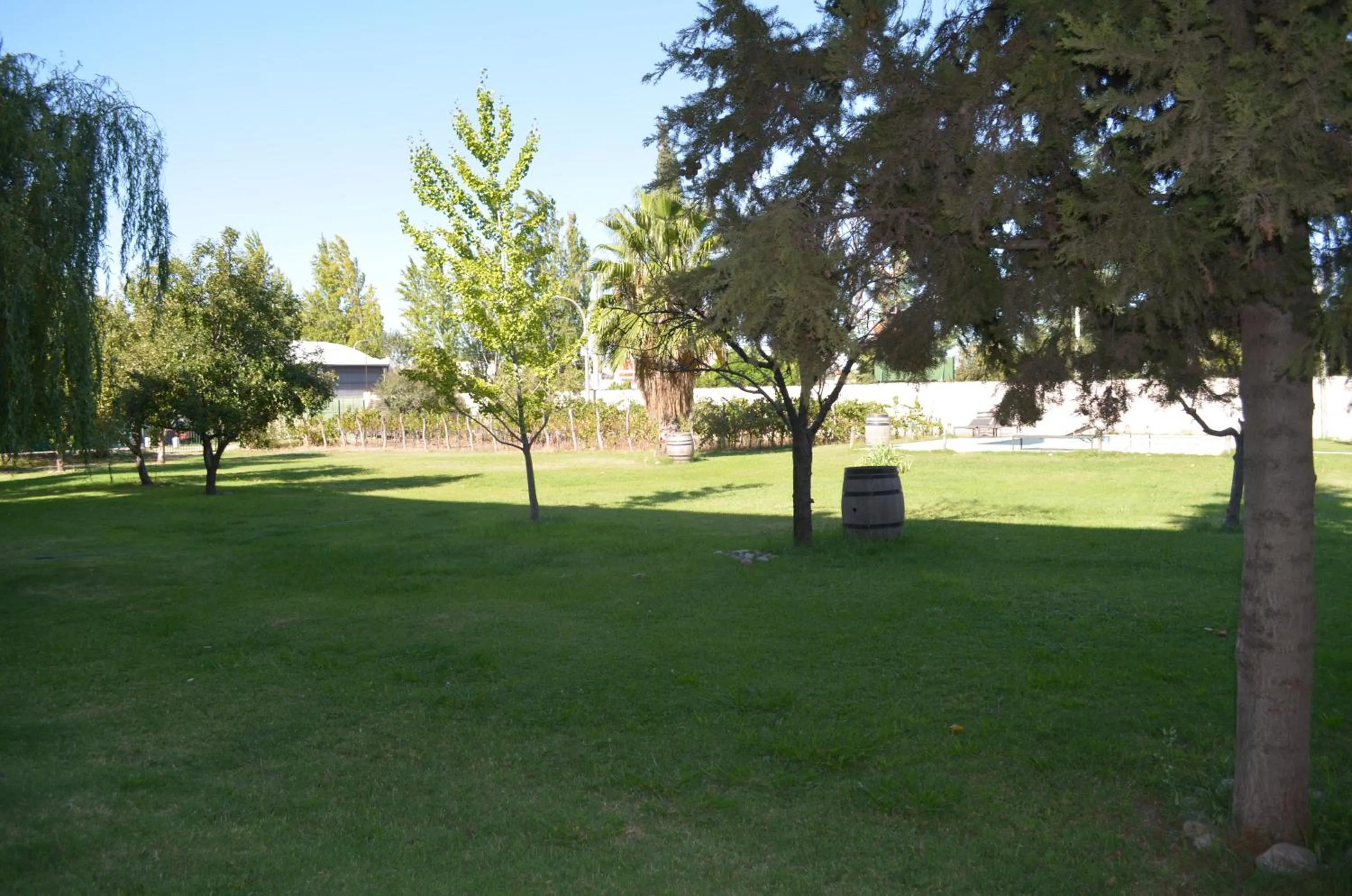 Garden in Hotel Finca Hermitage