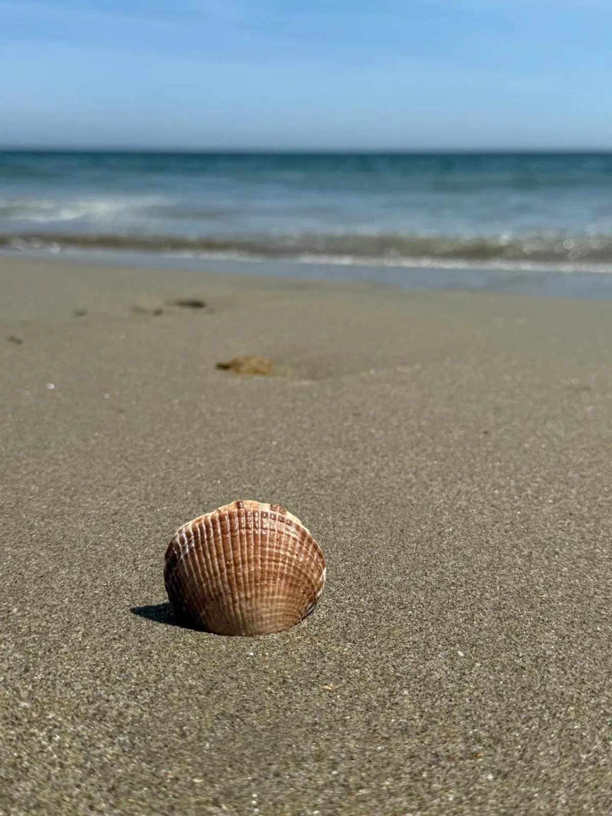Beach in Hotel Puerto Antiguo