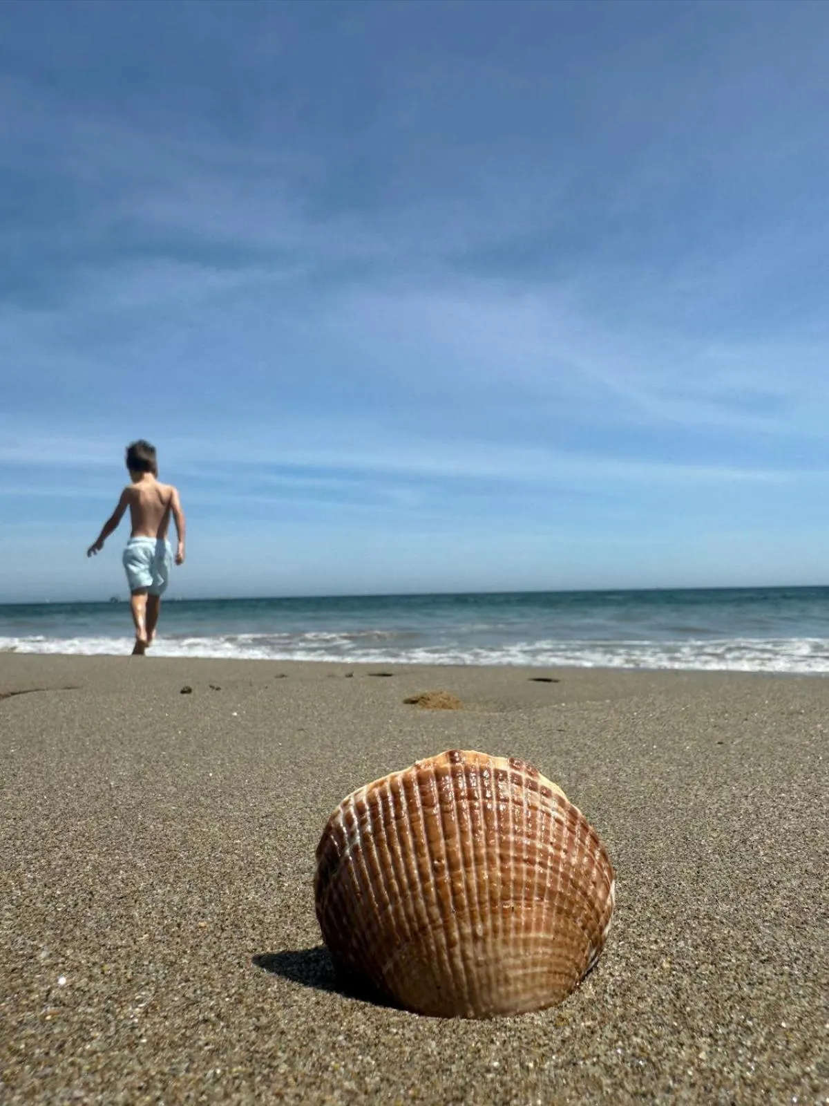 Beach in Hotel Puerto Antiguo