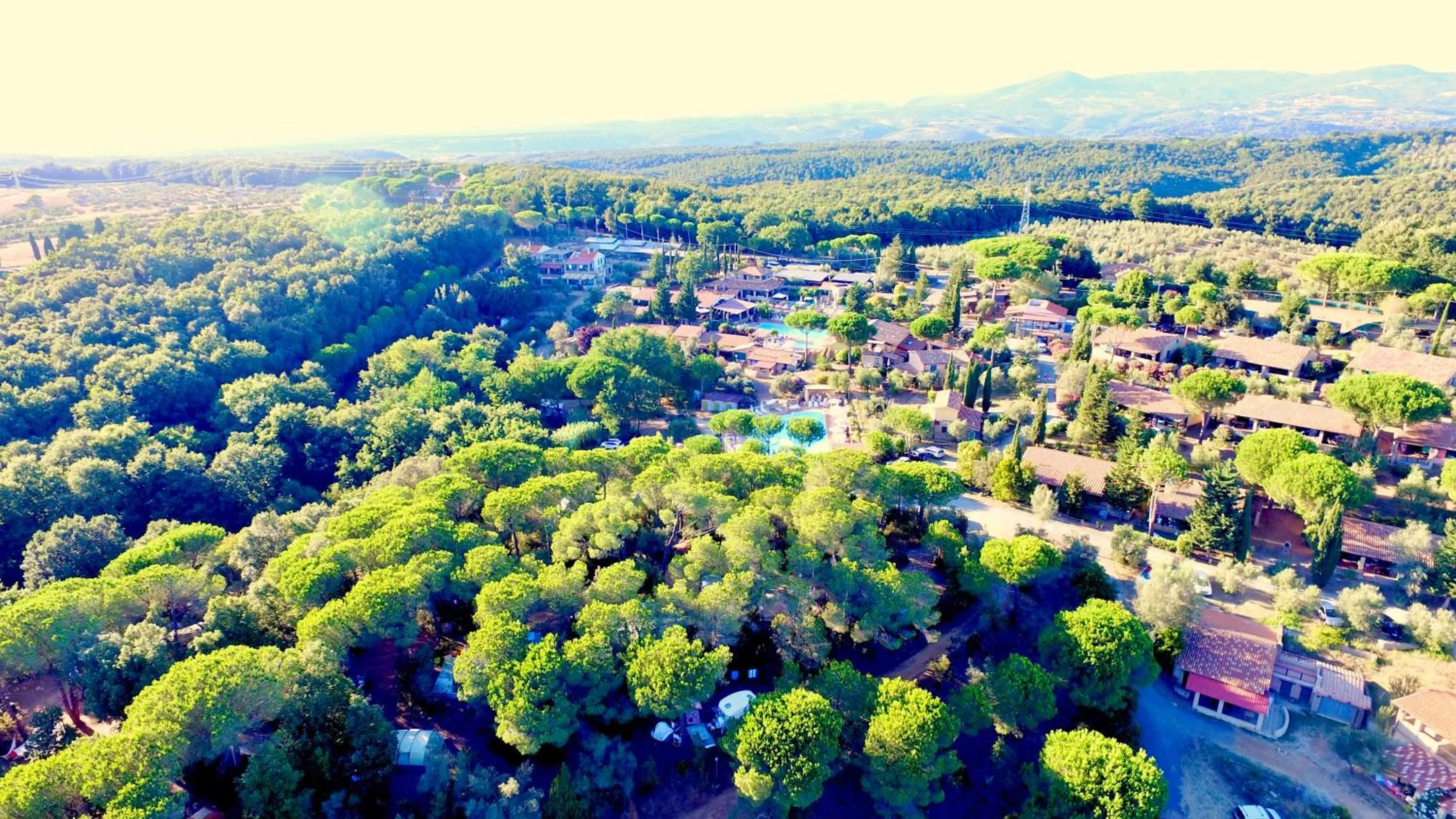 Bird's eye view in Residence with swimming - pool in Guardistallo