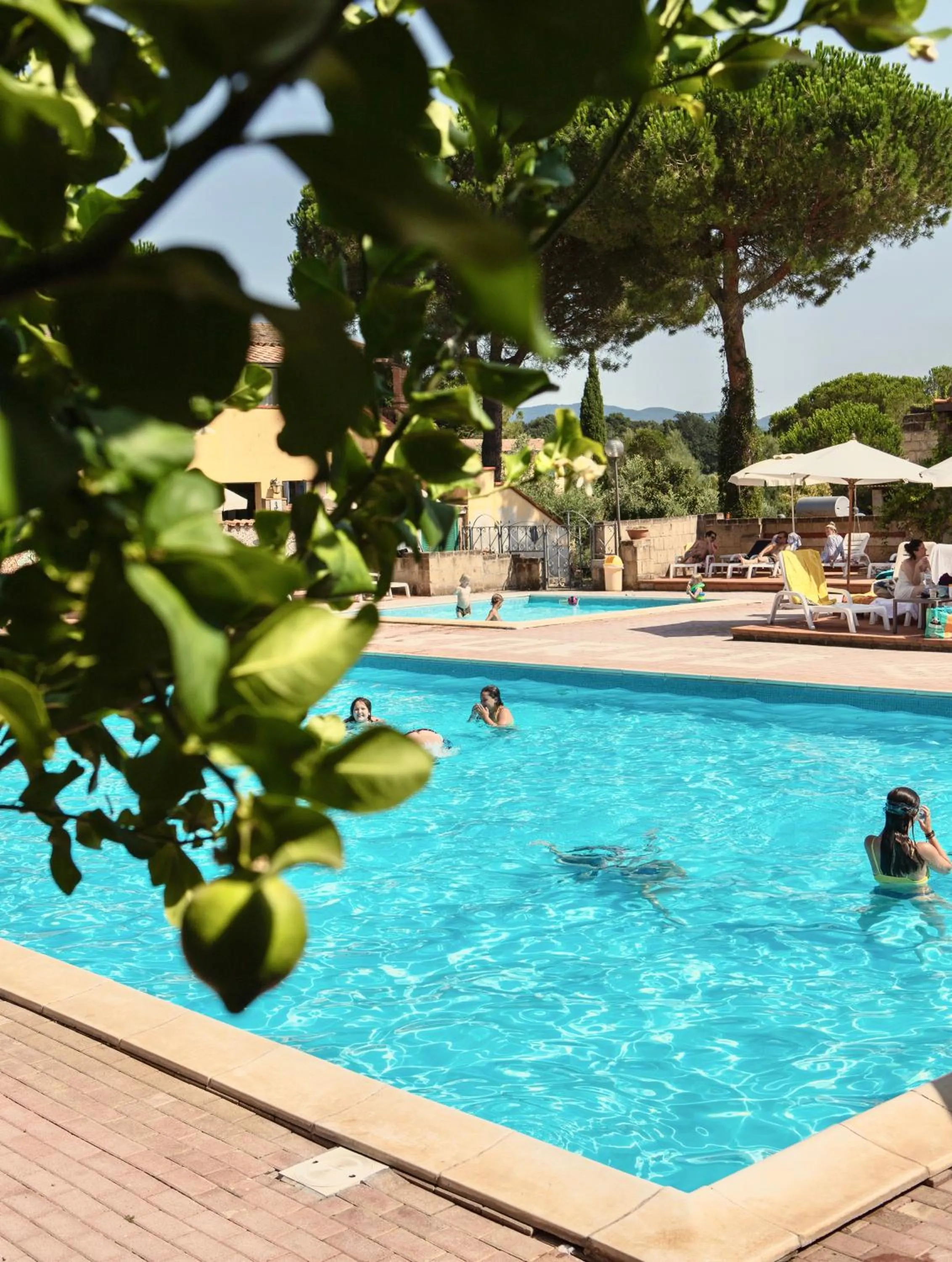 Swimming pool in Residence with swimming - pool in Guardistallo