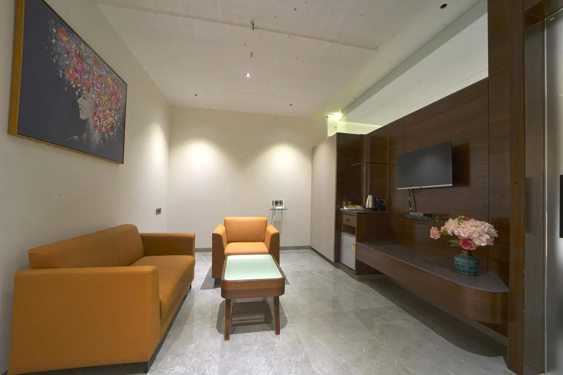 TV and multimedia in Hotel Devgiri Inn and Restaurant